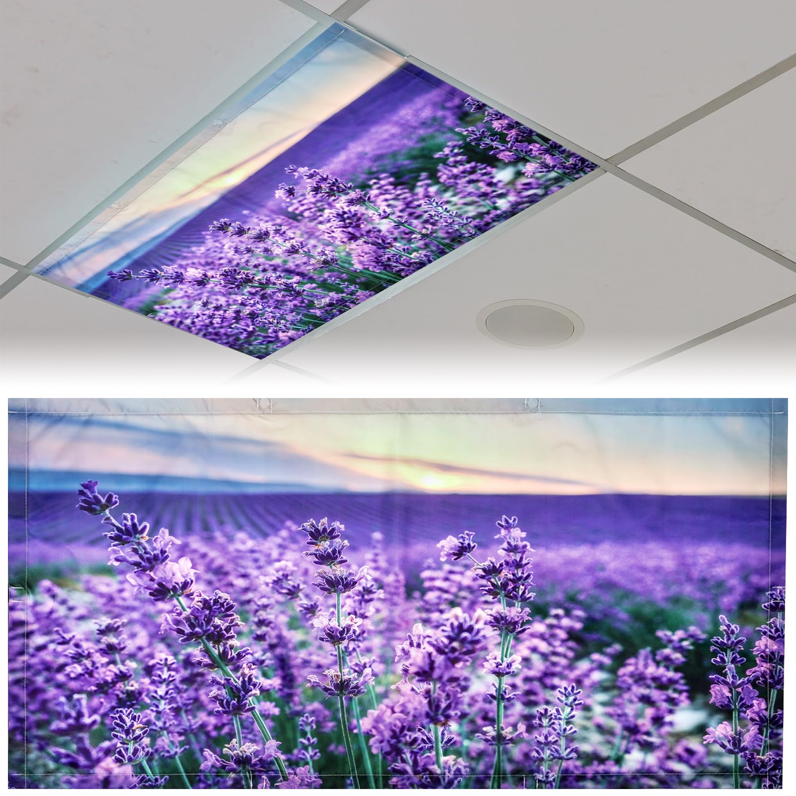Patelai Fluorescent Light Cover Shade with 10 Magnets, 4 x 2 Feet, Lavender, Model PT-Patelai-3150 for Classroom, Office, Home