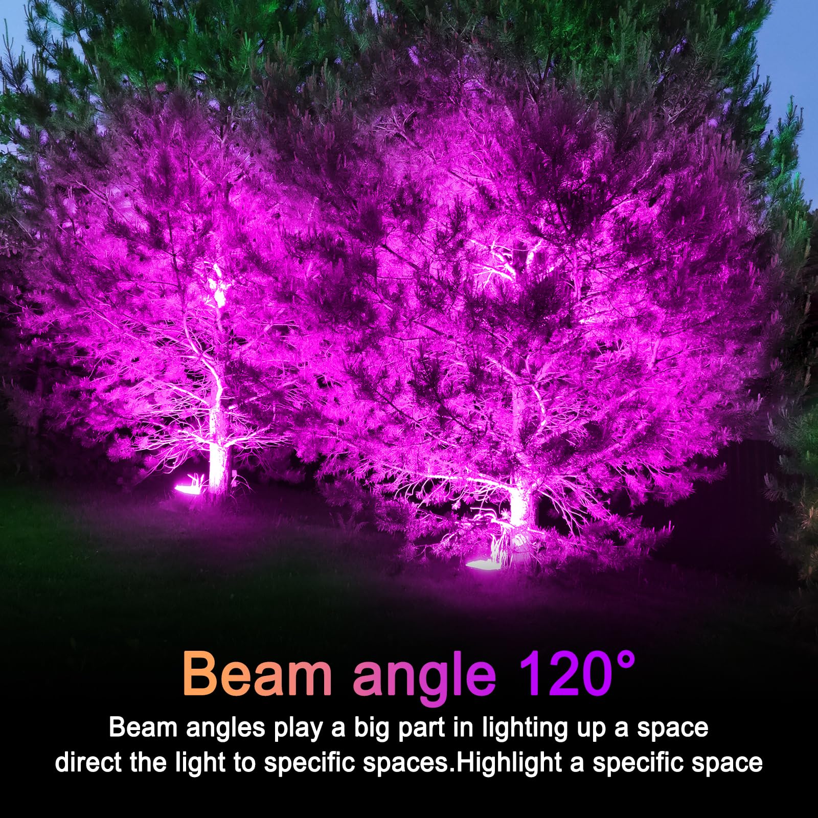 LOXYEE PAR38 Flood Light Bulb, Dimmable, E26 Base, 20W Replace to 200W, 4 Pack, Purple