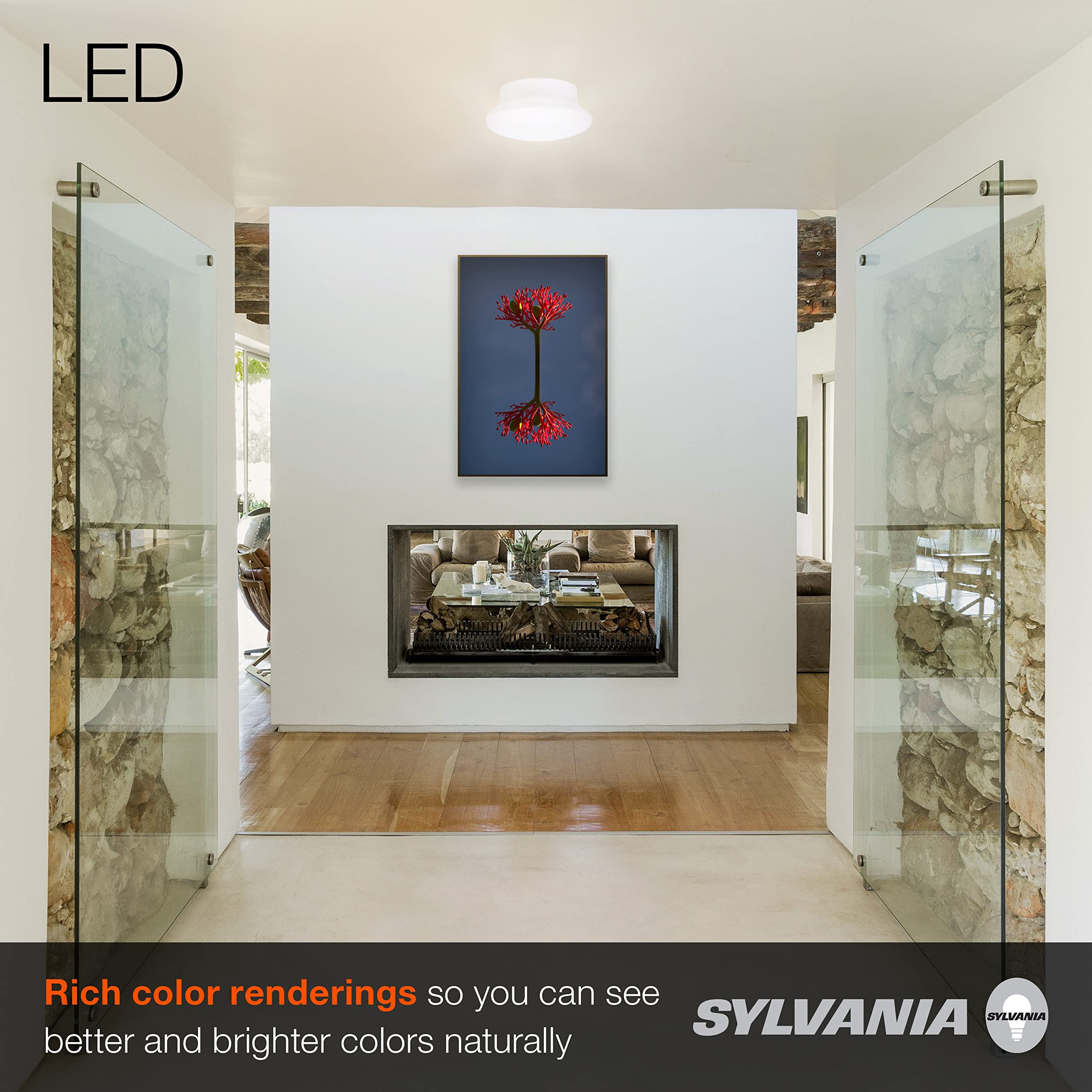 LEDVANCE Sylvania Ceiling Lamp, 1 Count, Cool White, Model 75081, Porcelain Material