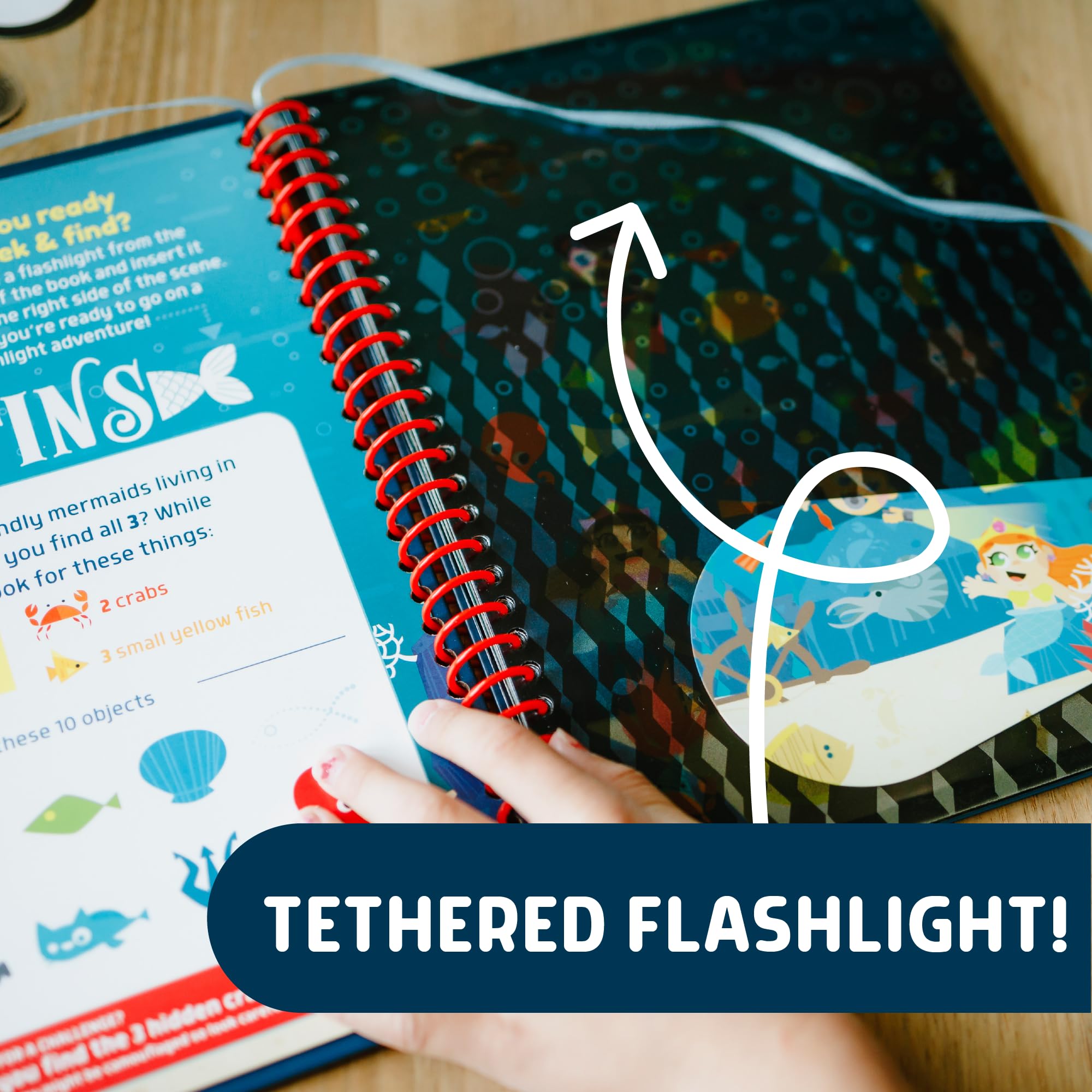 Chuckle & Roar - Flashlight Seek & Find - Engaging Puzzle Solving For Toddlers - Great Game For Young Learners - Travel Ready - Ages 3 And Up