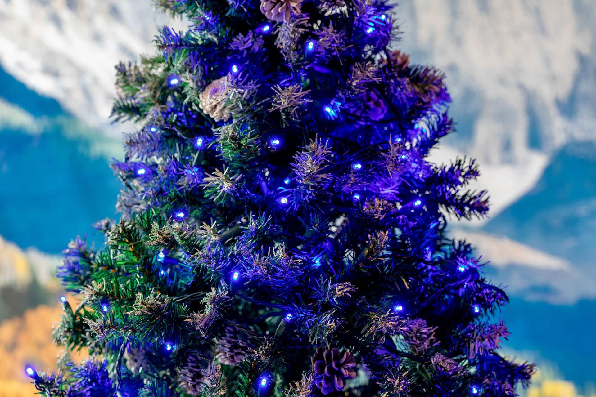 Novelty Lights 25ft 50 LED Blue Christmas Mini Light String, 5mm Wide Angle Bulbs, Connectable, Indoor/Outdoor, UL Listed