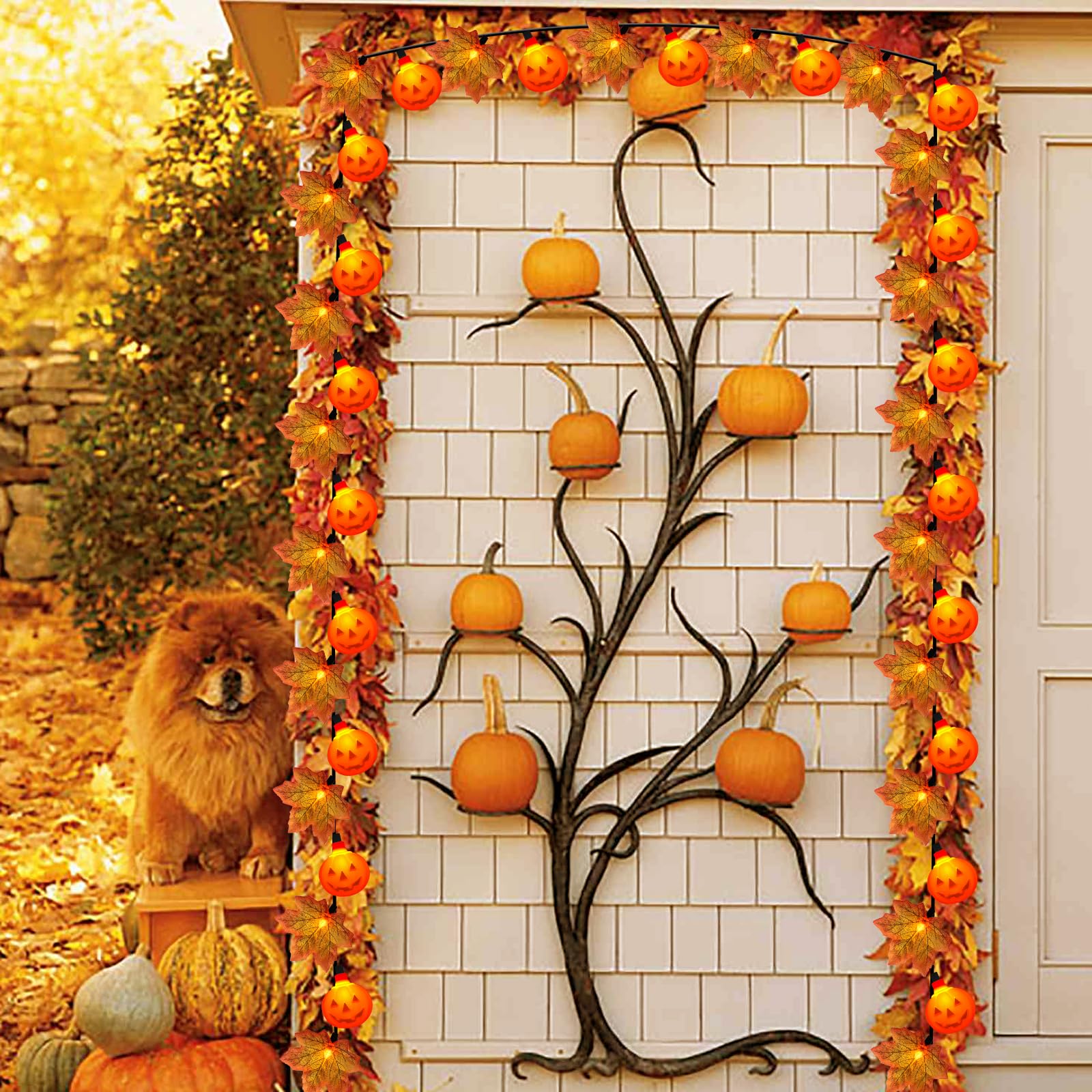 Thanksgiving Day Red Maple Leaf with Pumpkin LED Lights, 13.5FT Plug in Autumn Fall Light with 35 Mini LED Bulbs for Thanksgivin