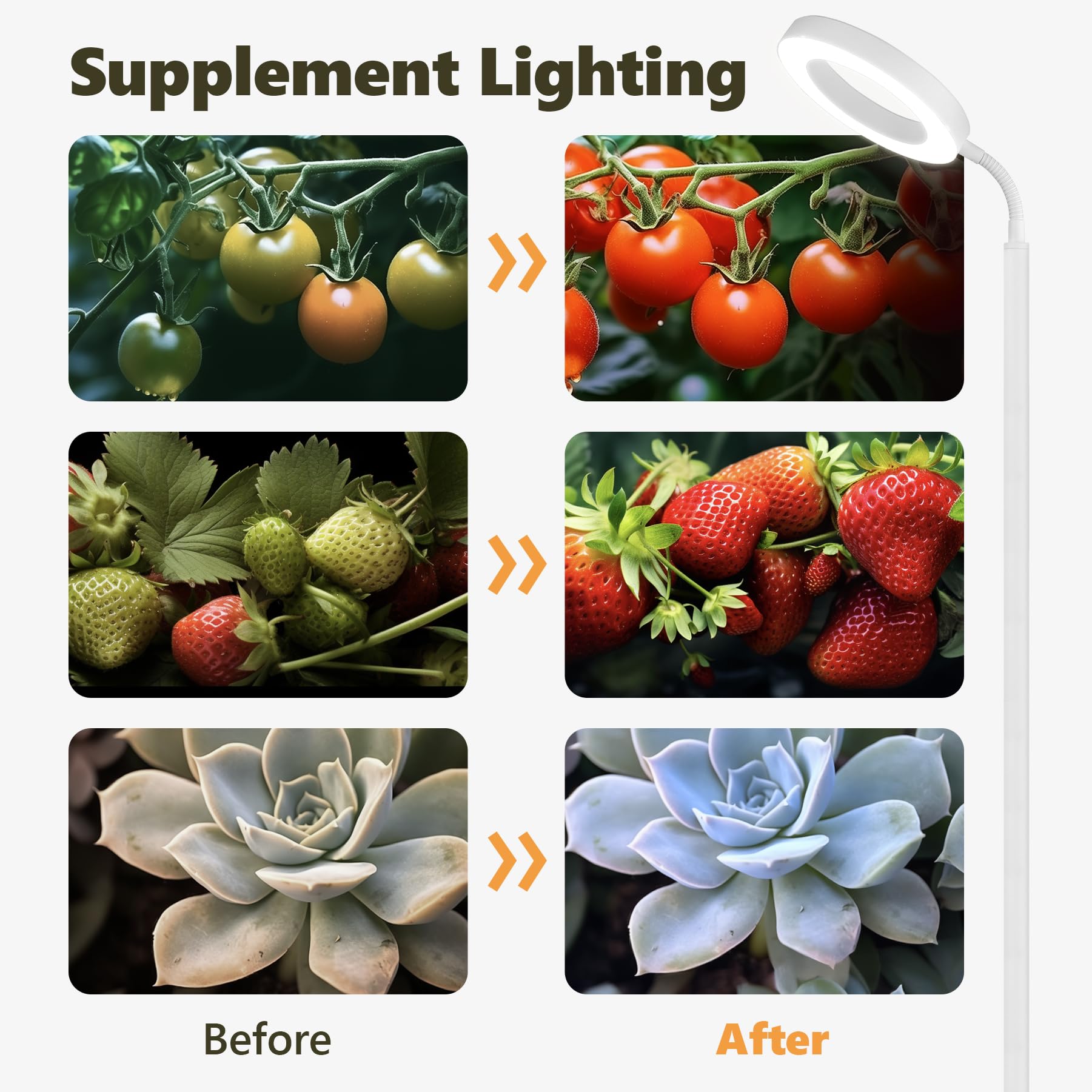 Plant Grow Light, Grow Lights For Indoor Plants Full Spectrum, 20W Led Floor Plant Growing Lamp With Height Adjustable Stand, Off Timer 3/9/12H, 10 Dimmable Brightness For Small Large Plants, Round