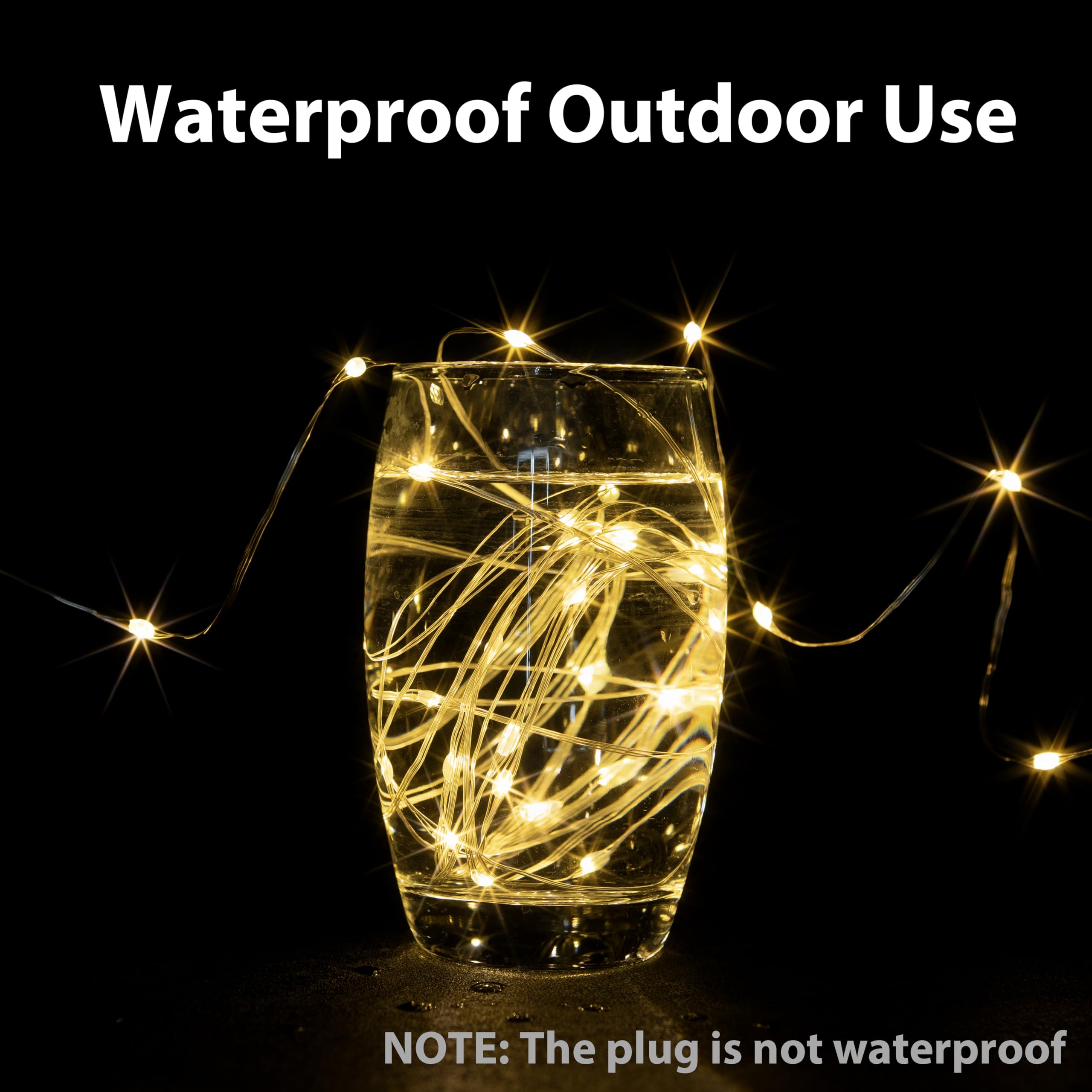 Pcores Fairy Lights 164Ft Warm White 500 Leds, Waterproof, Remote Controlled, Indoor/Outdoor Use, Model Ds-Sl-600-Ctr