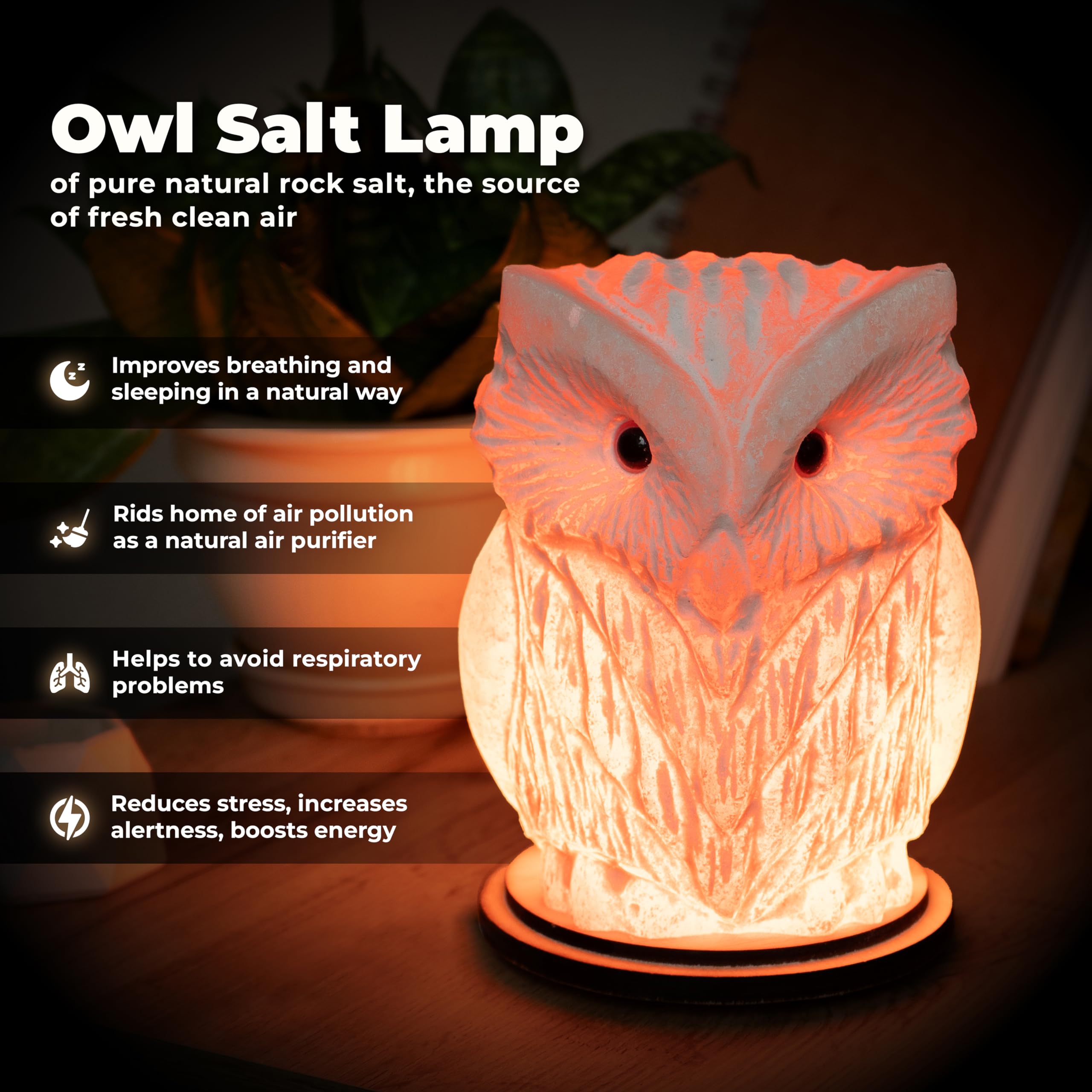 Owl Crystal Salt Lamp H 6.7   , 4.4 Lbs - Pure Natural Rock Salt - Unique Night Light Lamp - 1 Light Bulb As A Gift - Wooden Pre