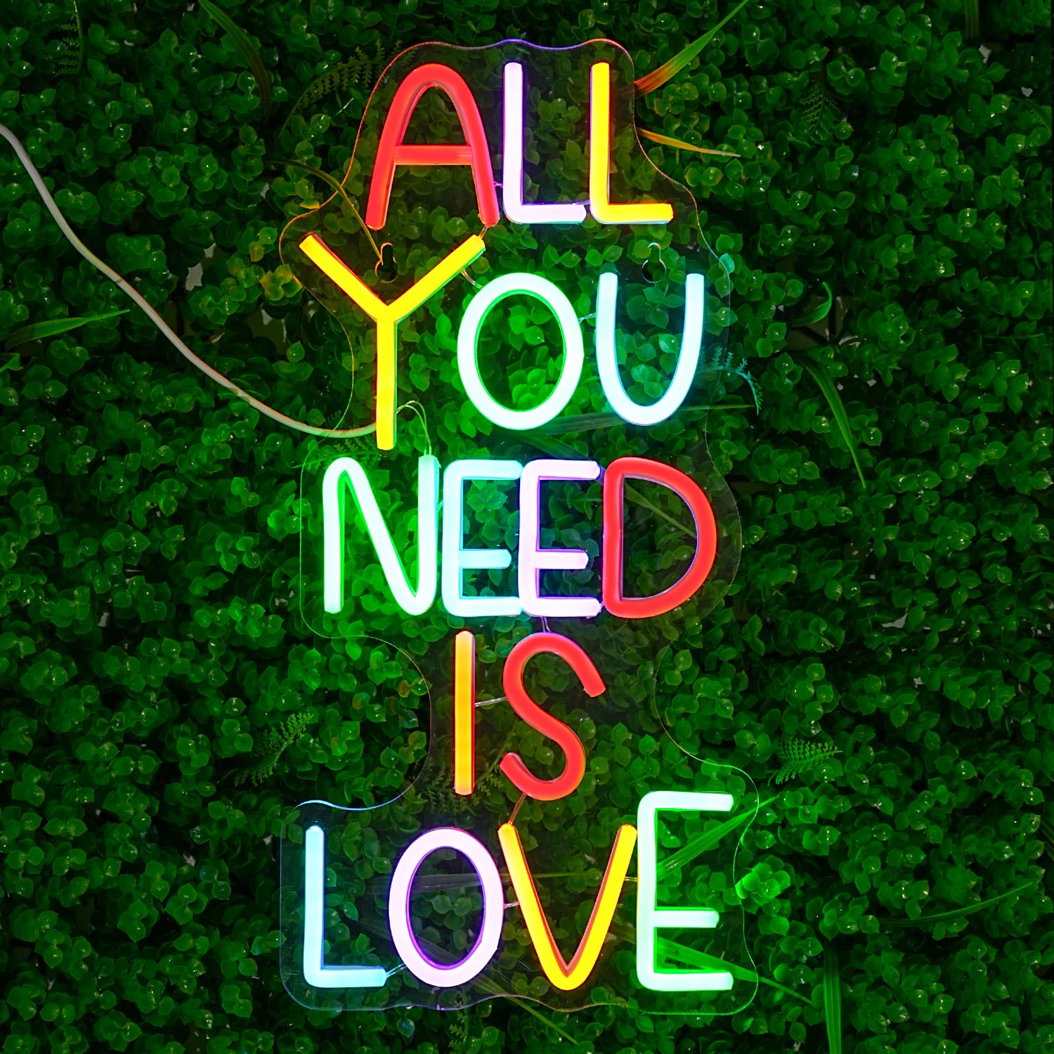 LULANMP Neon Sign - inAll You Need Is Lovein Wall Decor, Dimmable, 16.9in x 8.2in, Colorful, Plastic, Model QM-60