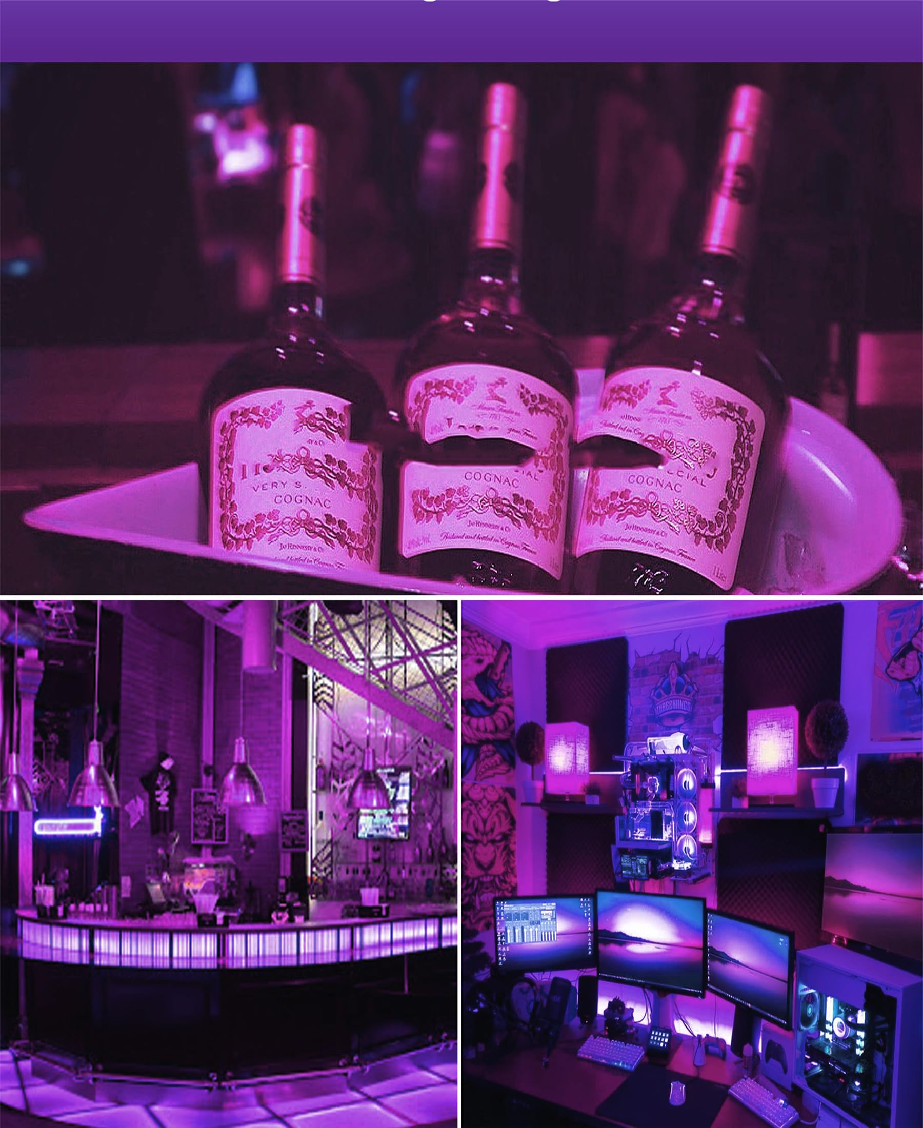 Winbafu Purple Light Bulbs  9W Led A19 Lamps 60W Equivalent  Halloween Light Bulbs  E26 Base Colored Lighting For Christmas Halloween Party Mood Ambiance Decor Black Bulb  2 Pack
