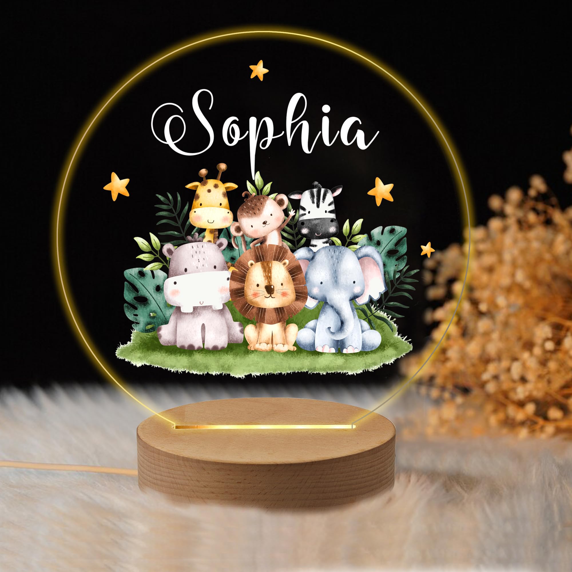 EDSG Personalized Night Light for Kids, 7 Colors LED, Acrylic, Model 151186-91-3, Design 3