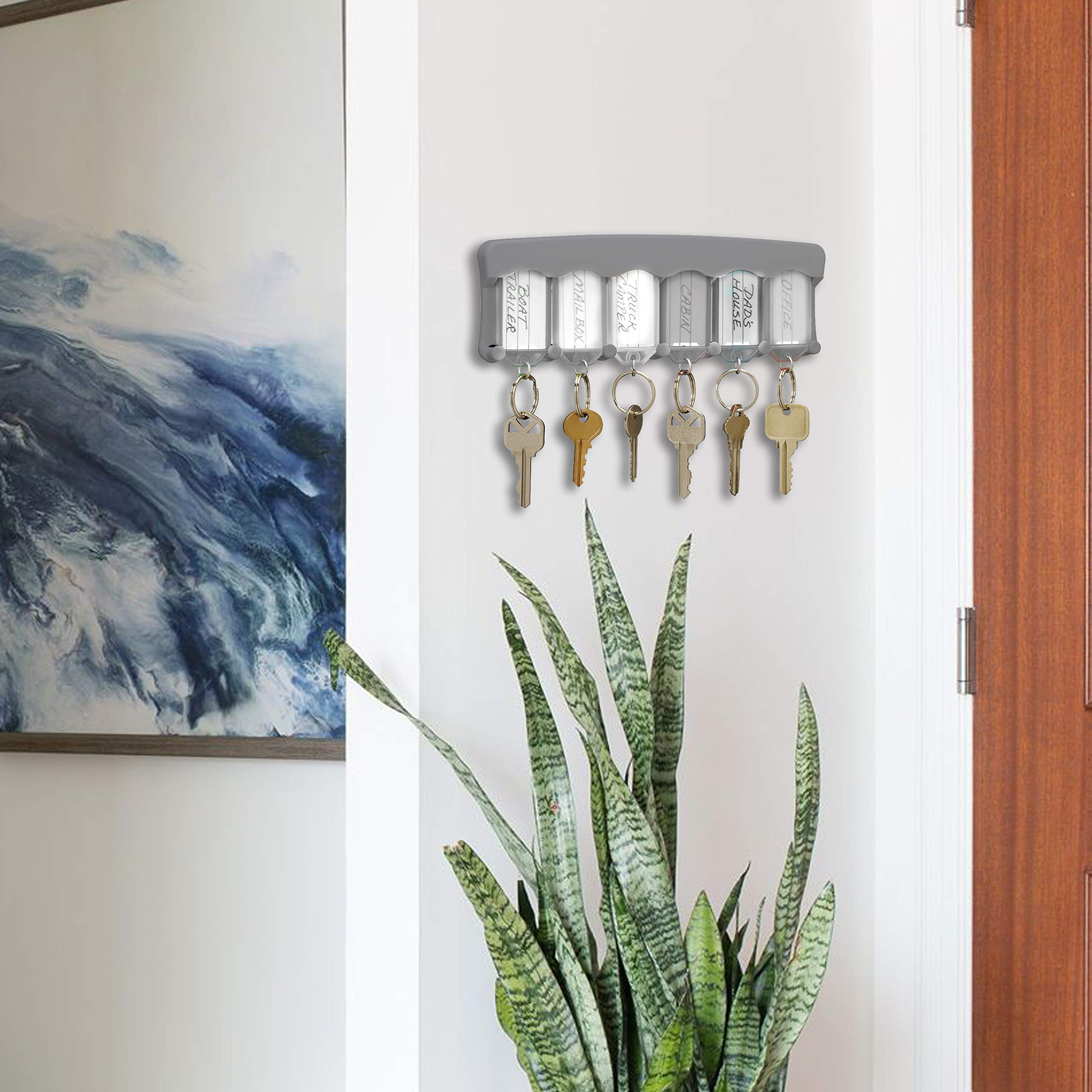 Lucky Line Key Tag Rack, Pack Of 6, Clear (60562)