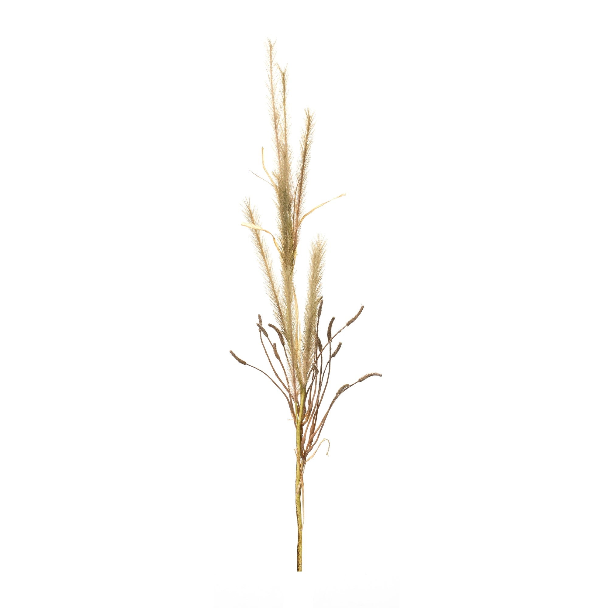 Fox Tail Stem (Set of 2) 47H Polyester