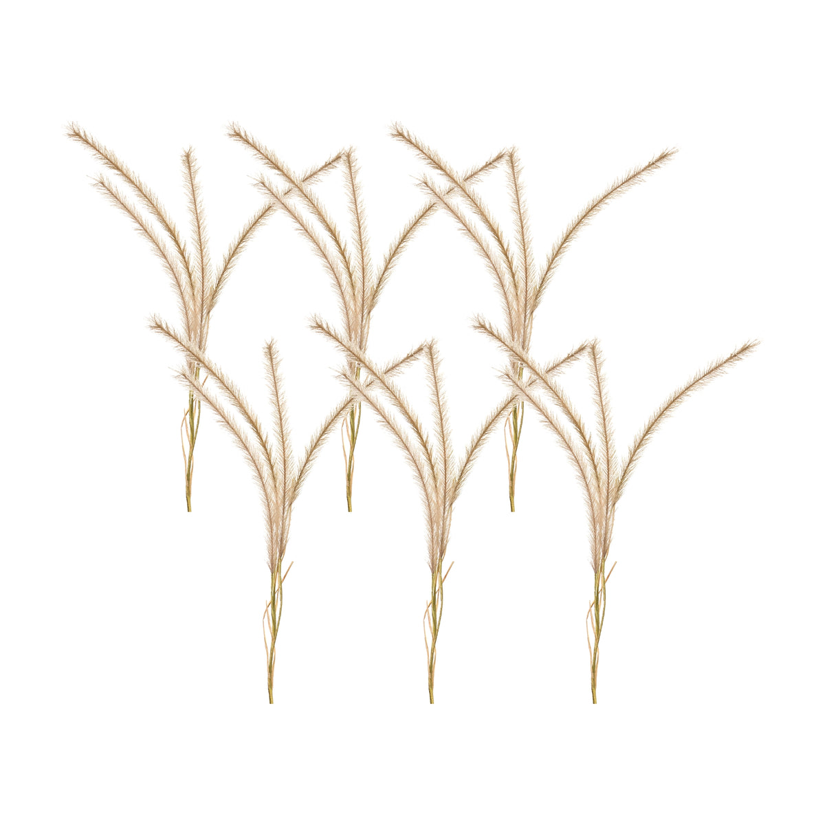 Fox Tail Stem (Set of 6)