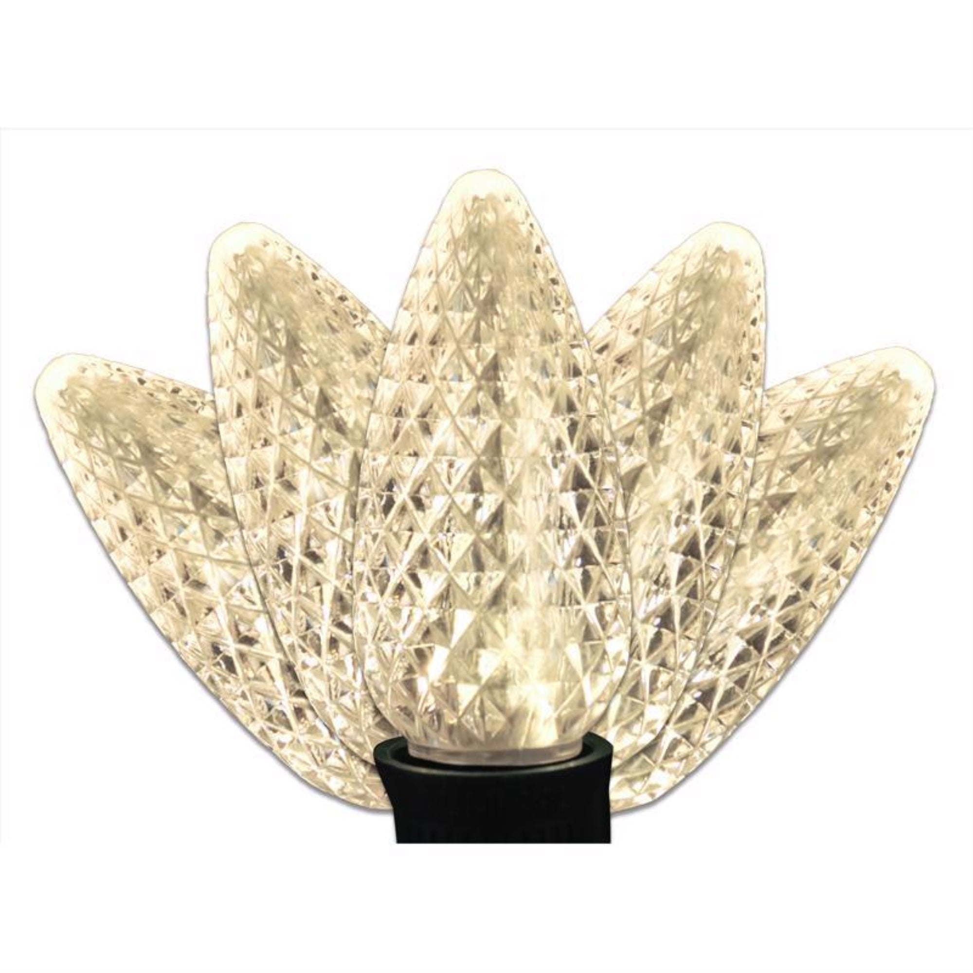 LED LT STRNG WW C9 25CT (Pack of 1)