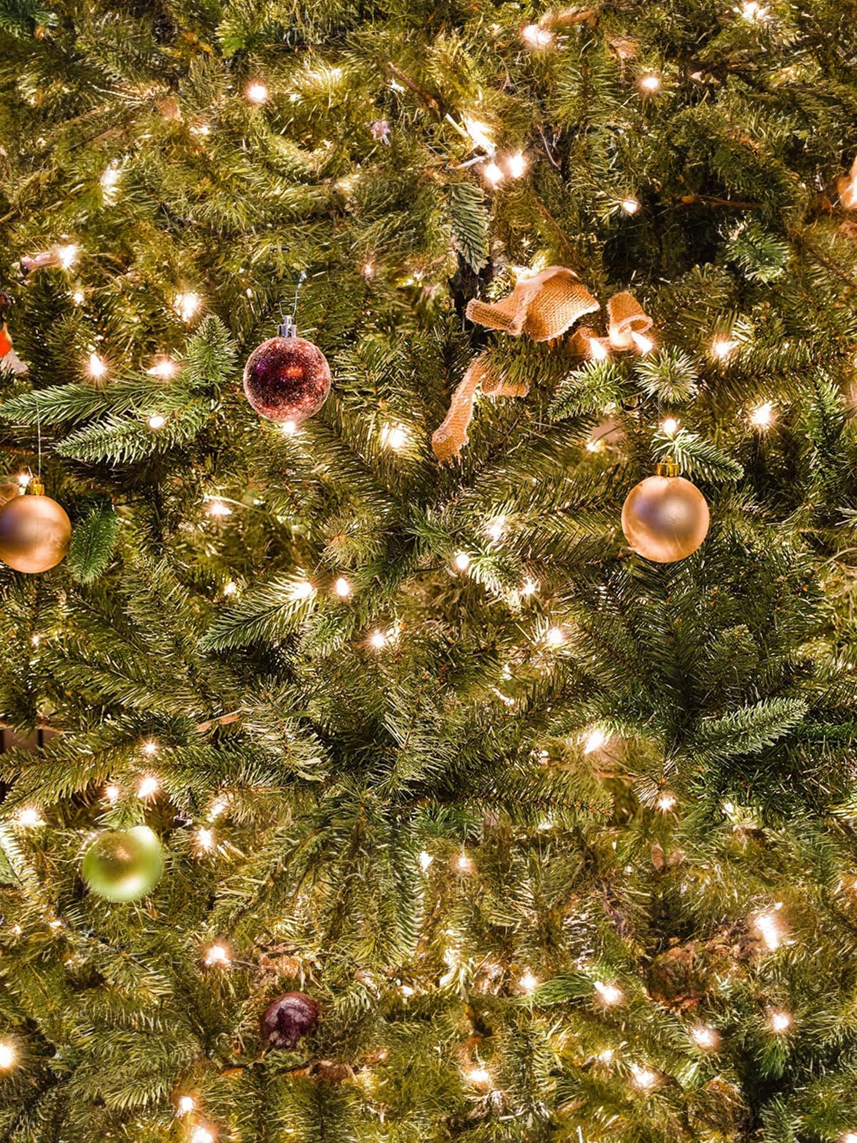 Twinkle Star 2 Pack Outdoor Christmas Lights, Total 33 Ft 100 Led Battery Operated Christmas Lights With 8 Modes, Xmas Tree Ligh