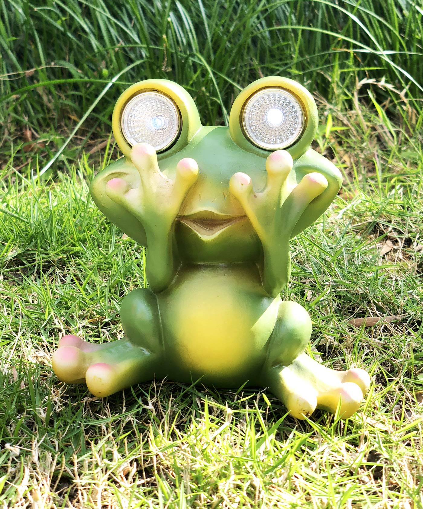 Tiblen Solar Powered Frog Outdoor Led Garden Light Decor (See - No)