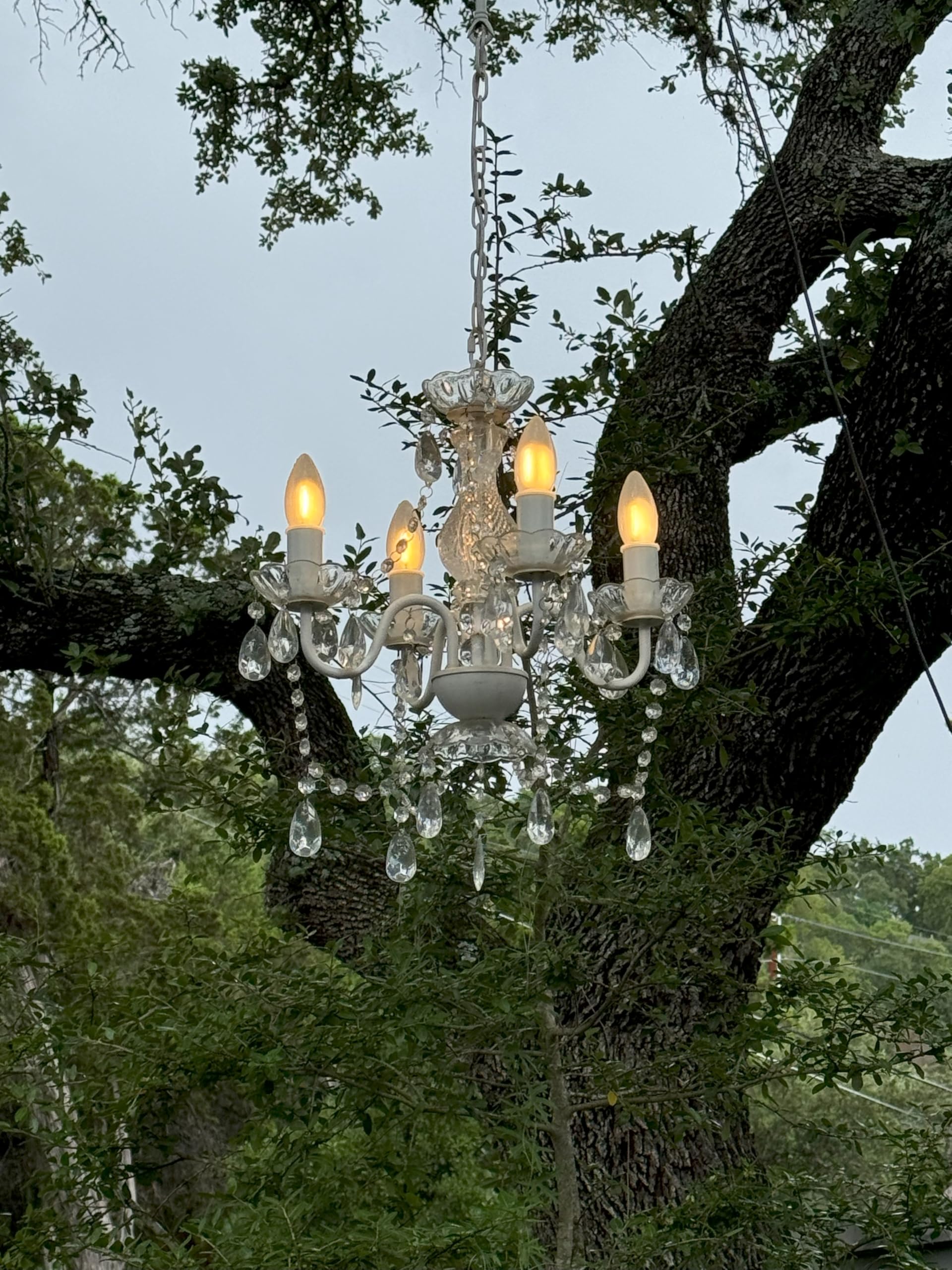 Brink House 4 Light Crystal White Chandelier, Stainless Steel Frame, IP65 Water Resistant, Model BHOD4LCL, H17”xW15”
