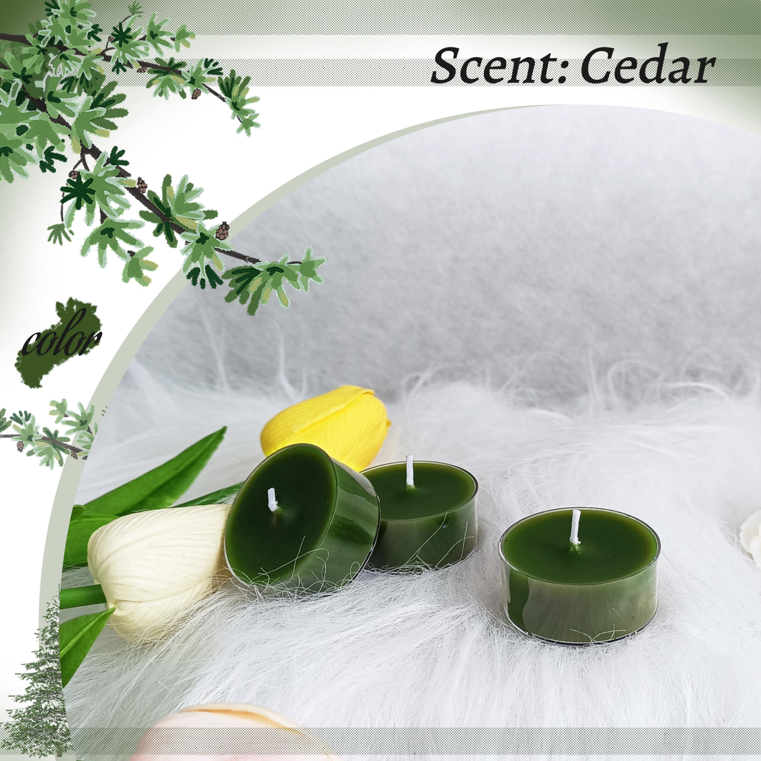 FCMSHAMD Cedar Scented Tealight Candles, Paraffin Wax, Dark Green, 1.5x0.7 In, 24 Pack, 5 Hour Burn Time