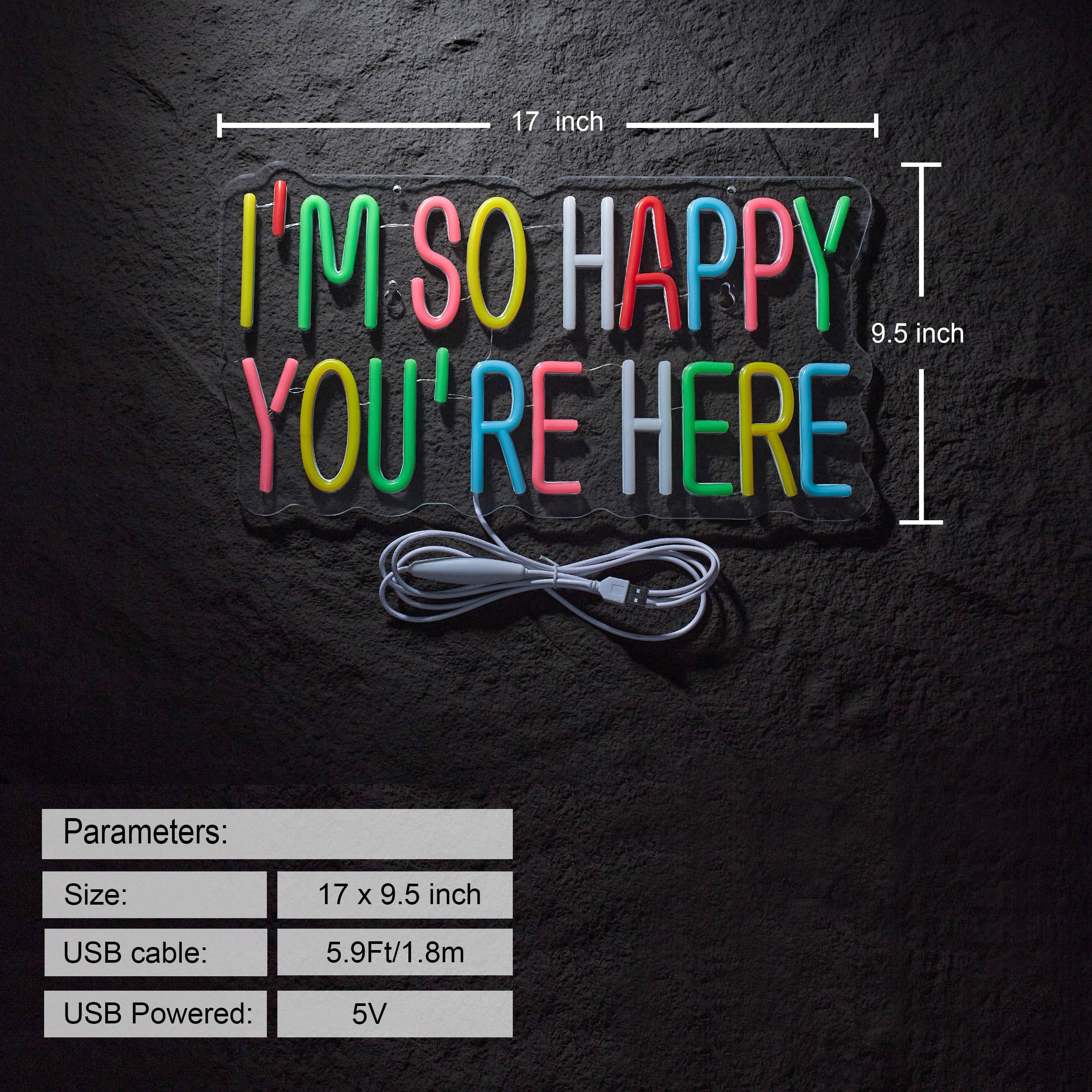 Neonhonba Neon Sign for Wall D?or, Dimmable LED Light, USB Powered, 17inx9.5in, Acrylic, Mcolour