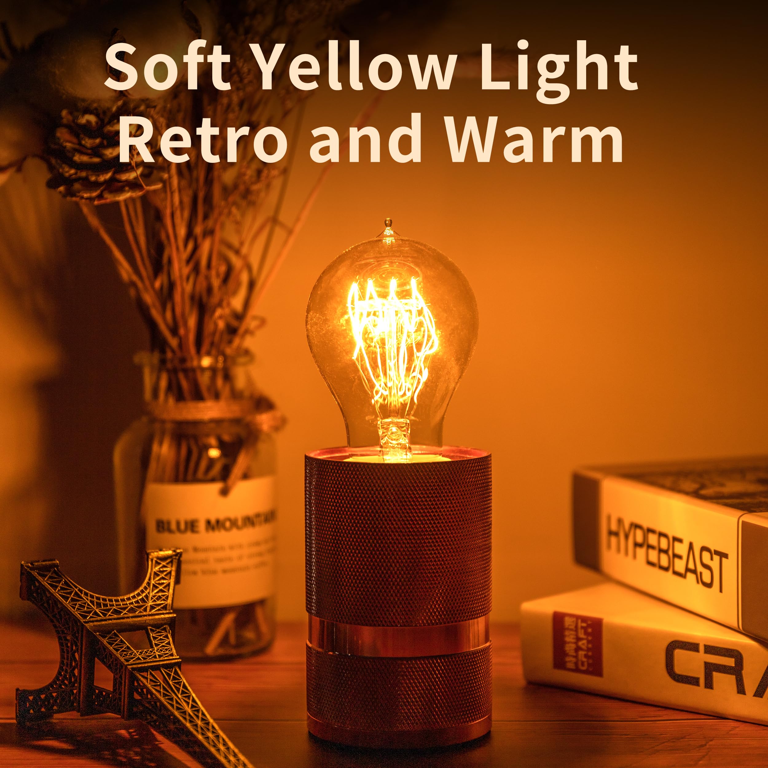Runquiz Warm Incandescent Light Bulbs 60 Watt,A19/A60 Vintage Style Edison Bulbs E26,Soft Yellow Light Bulbs,Amber Bulbs,Retro L