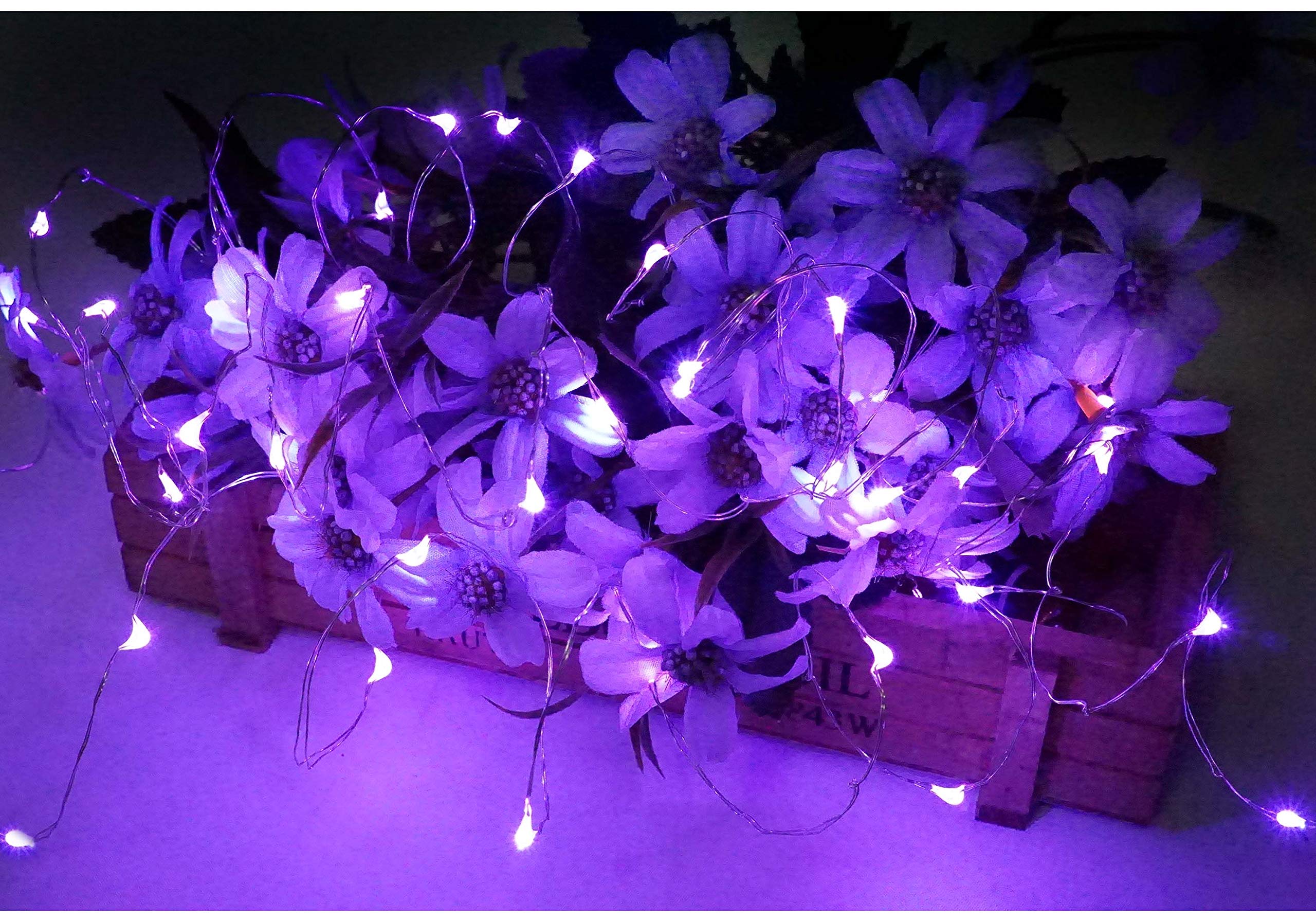 NiniTe LIGHTS 24 Pack Battery Operated Fairy Lights, 6.6ft, 20 LED, Copper Wire, Purple, Model 20cell-24p, for Wedding Party Decor