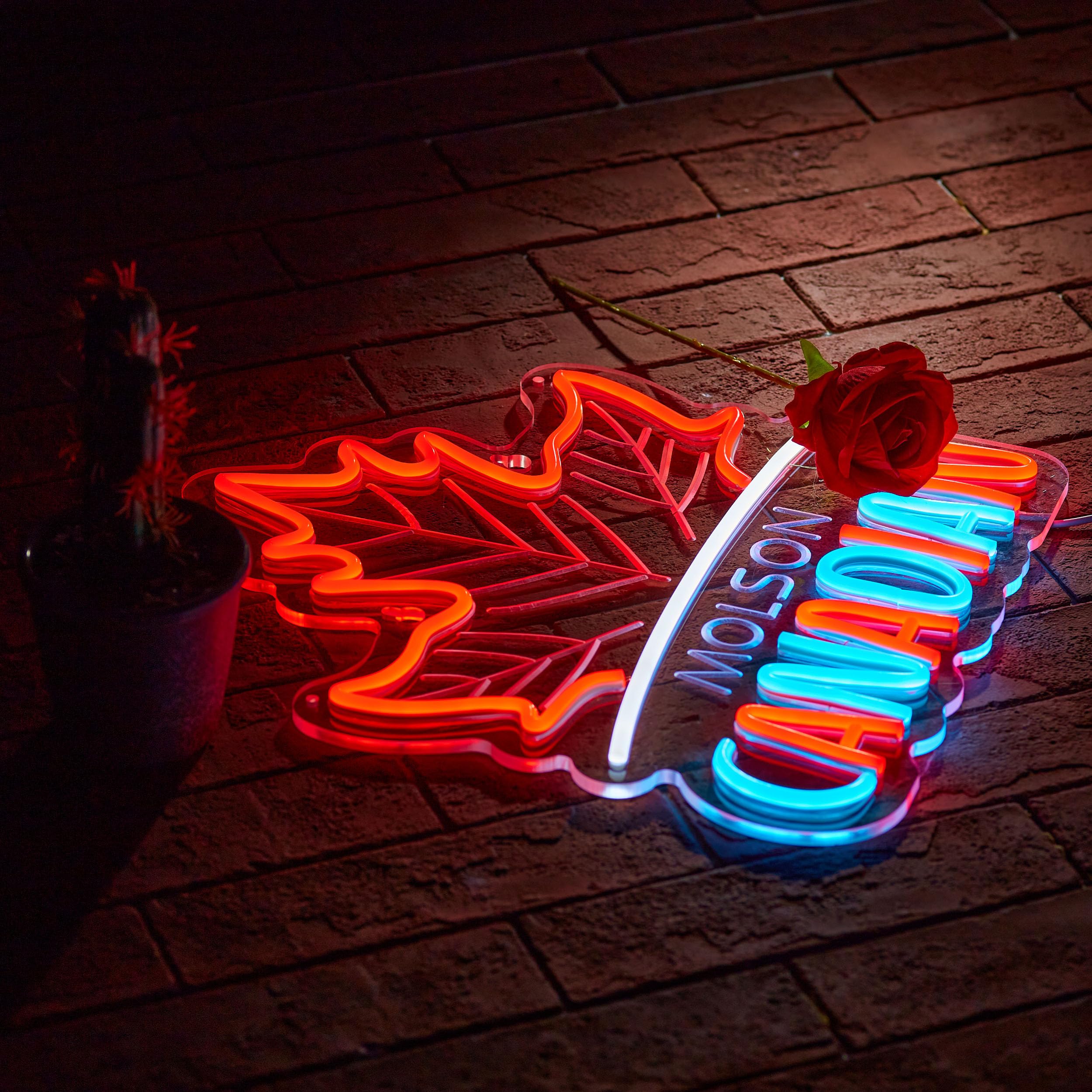 Duoweoy Canadian Neon Sign For Wall Décor Dimmable Mols Bar Beer Led Man Cave Neon Light Usb Powered Neon Art Signs Decor Gifts