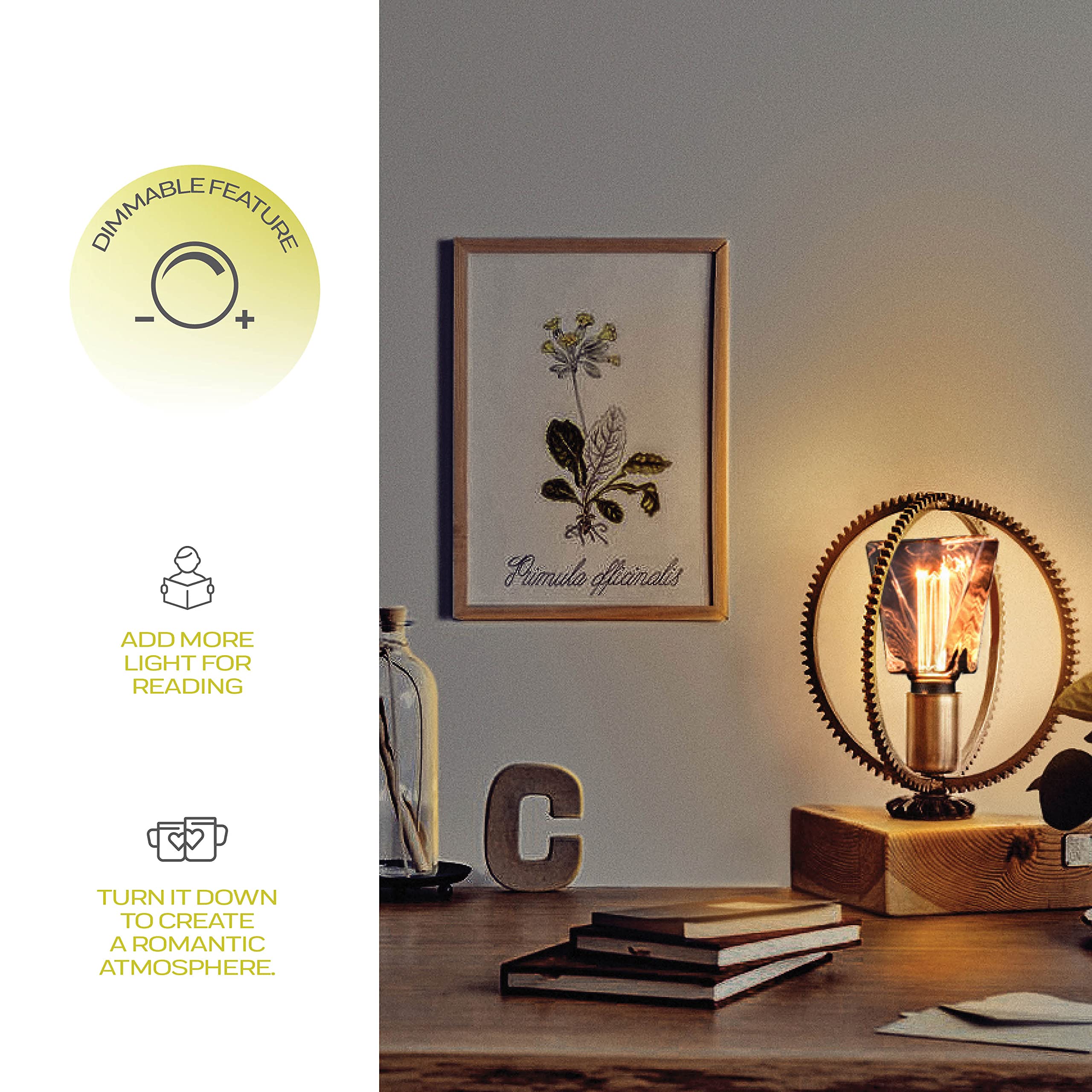 Next Glow E26 LED Decorative Light Bulb, 20W Equivalent, Dimmable, Glass, Smoke/Grey, 1 Count, 55 Lumen
