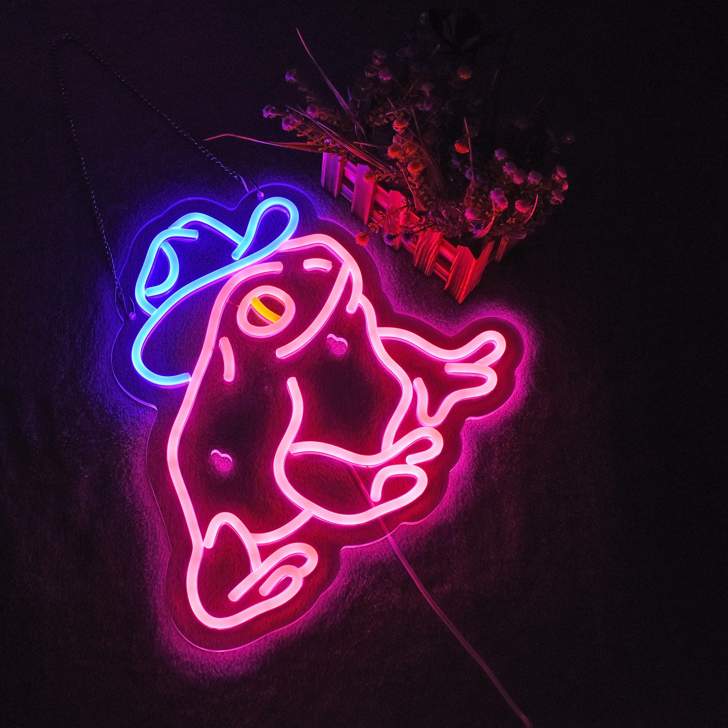 Haimococl Neon Frog Sign - Dimmable LED Wall Décor, 14" x 13", USB Powered, Pink+Blue for Pub, Store, Man Cave, Party