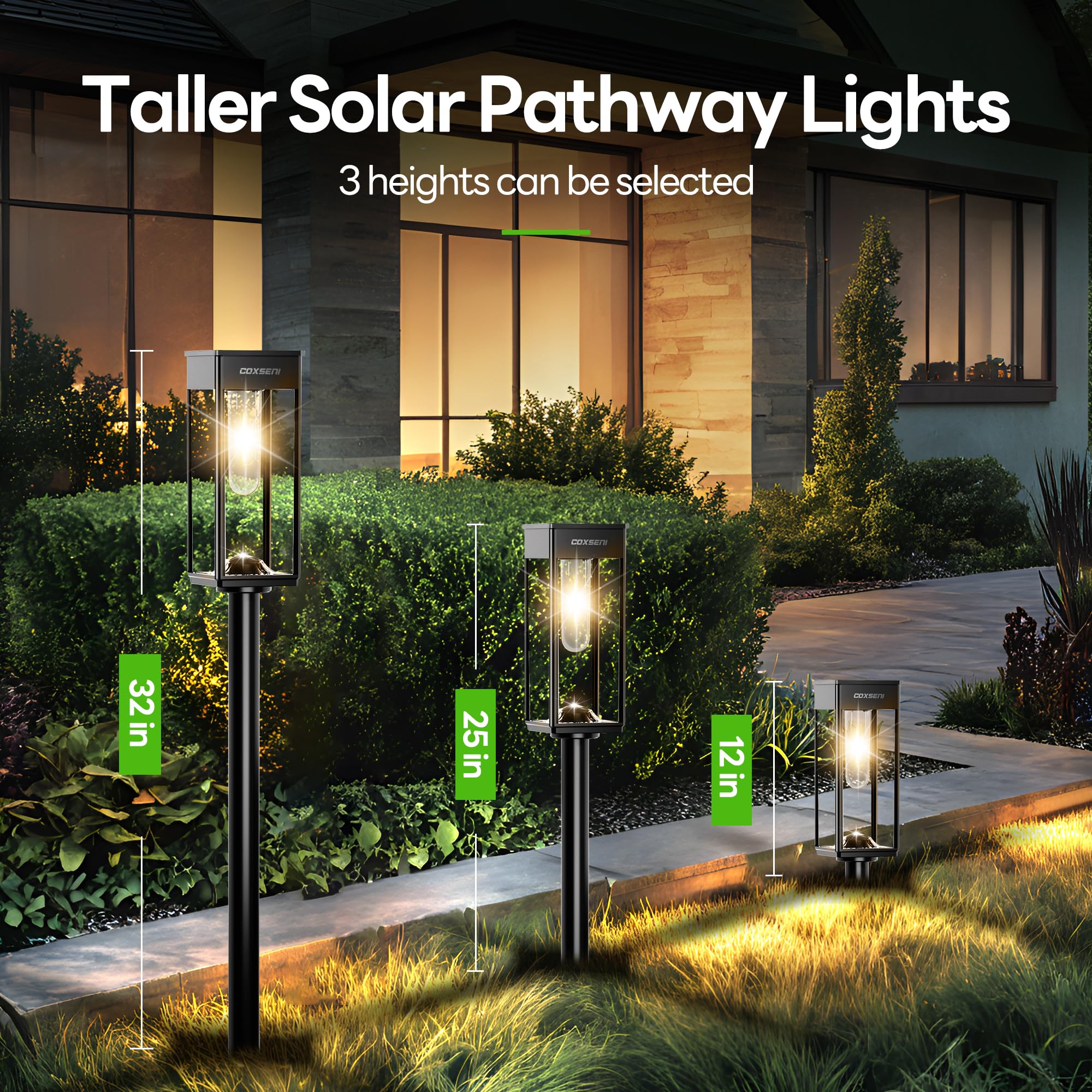 COXSENI Solar Pathway Lights 8 Pack - Waterproof IP65, 40LM Bright Warm White Outdoor Lighting for Garden, Yard, Driveway