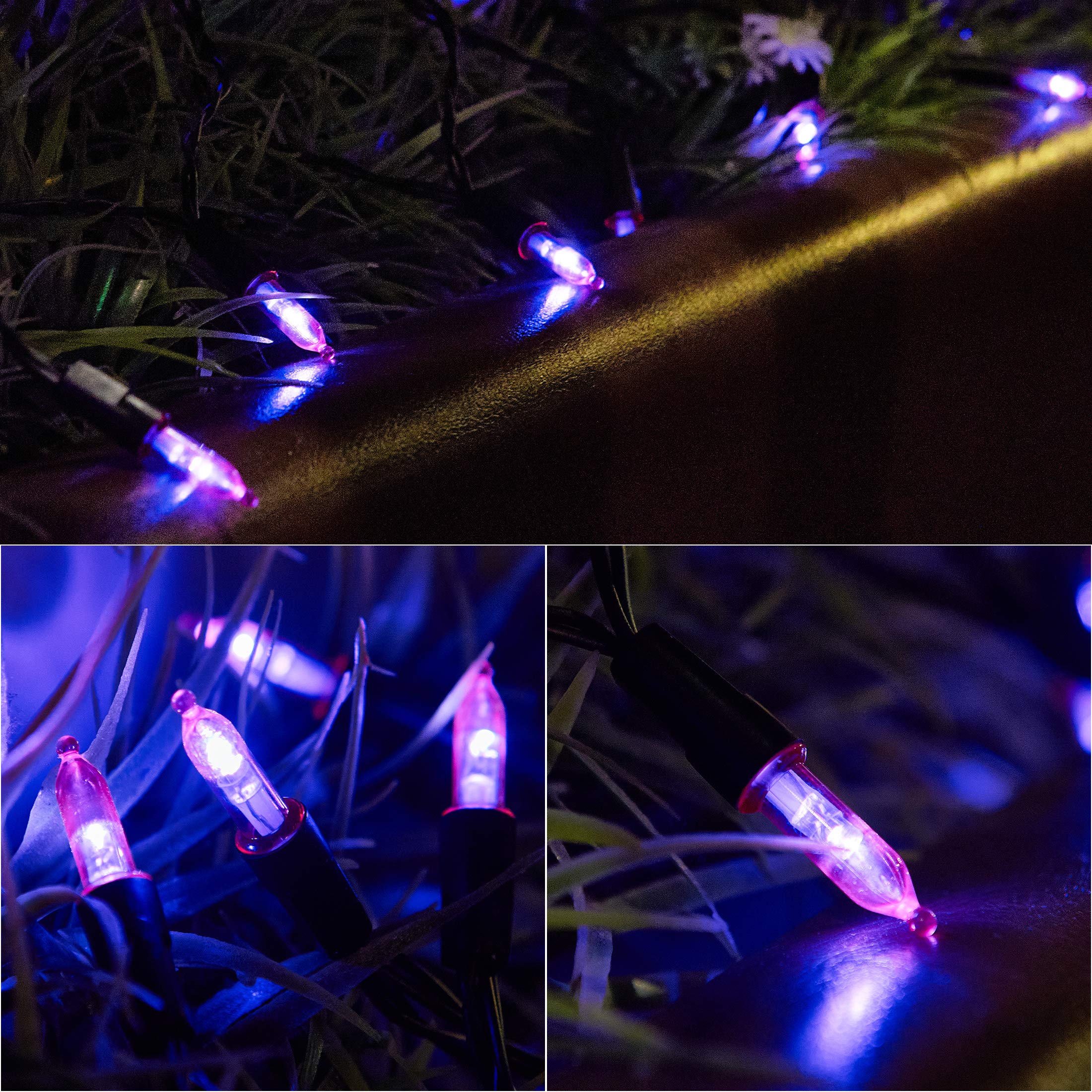 Twinkle Star Outdoor Halloween Lights, 50 LED Mini String Light, 16ft Waterproof, 8 Modes, Purple, 2 Pack