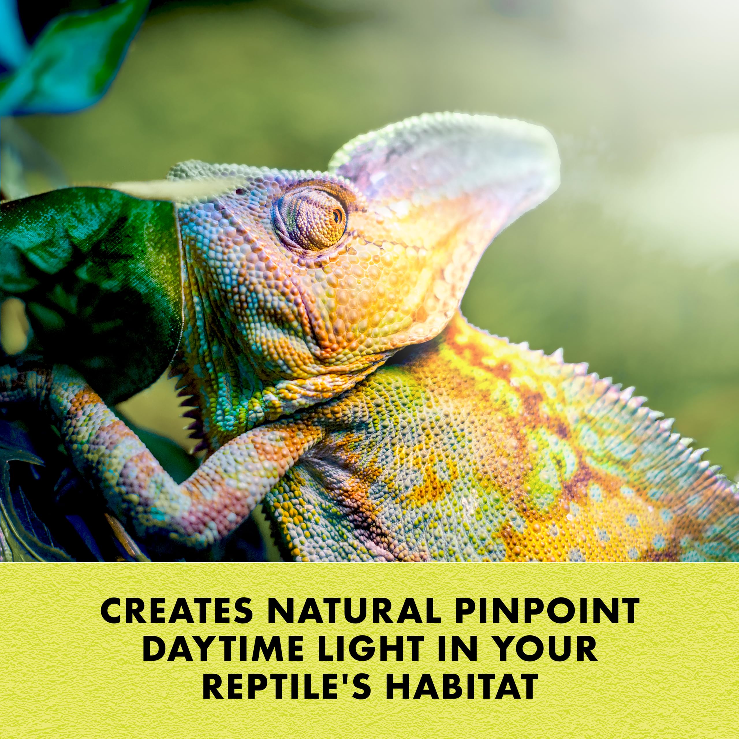 Zilla 150W Incandescent Heat Lamp For Reptile Terrariums - Day White Glass Bulb