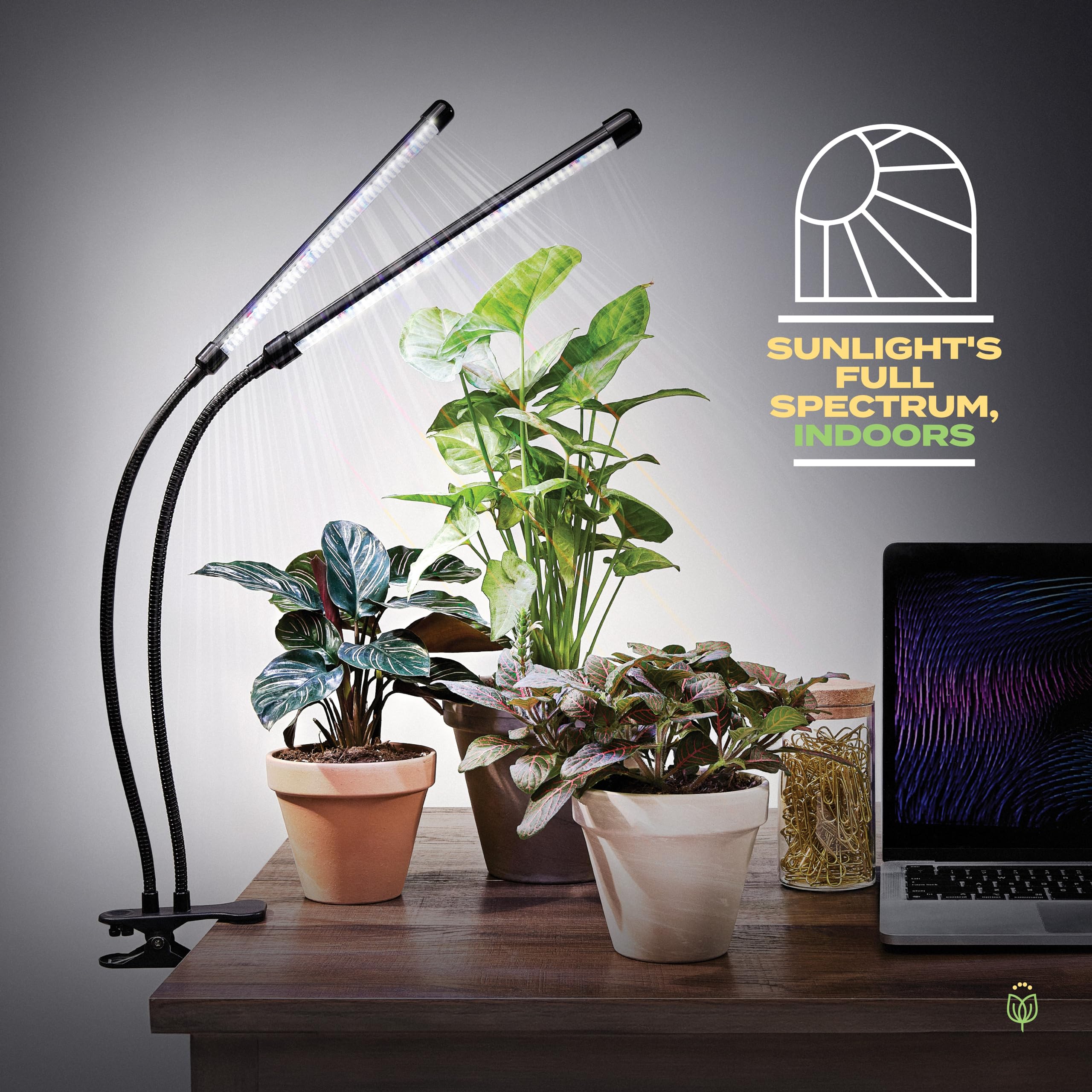 Bloom Lume Led Grow Lights For Indoor Plants Full Spectrum - Features Multi-Mode Color Spectrums, Dimmable, Auto Timer, Clip On Goosneck Plant Lamp