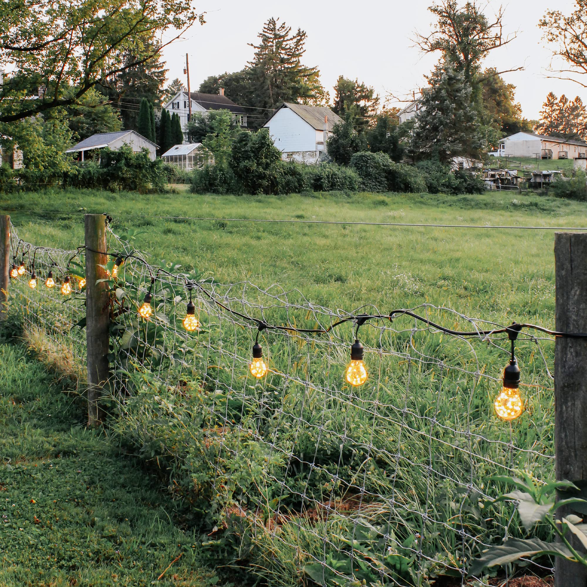 Norb A19 LED Light Bulb 4-Pack - Copper Filament with Tiny Stars, Indoor/Outdoor Use