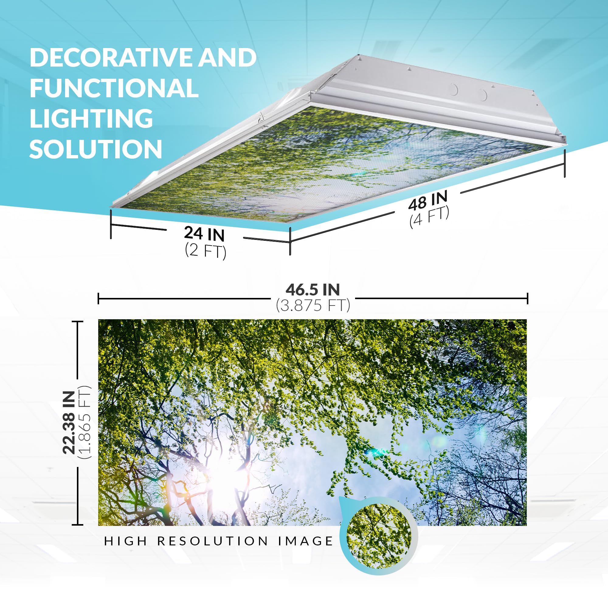 OCTO LIGHTS Fluorescent Light Cover - Backlit Film Insert 2x4 (22.38inx46.5in) - Evergreen Ash Tree - Pack of 10