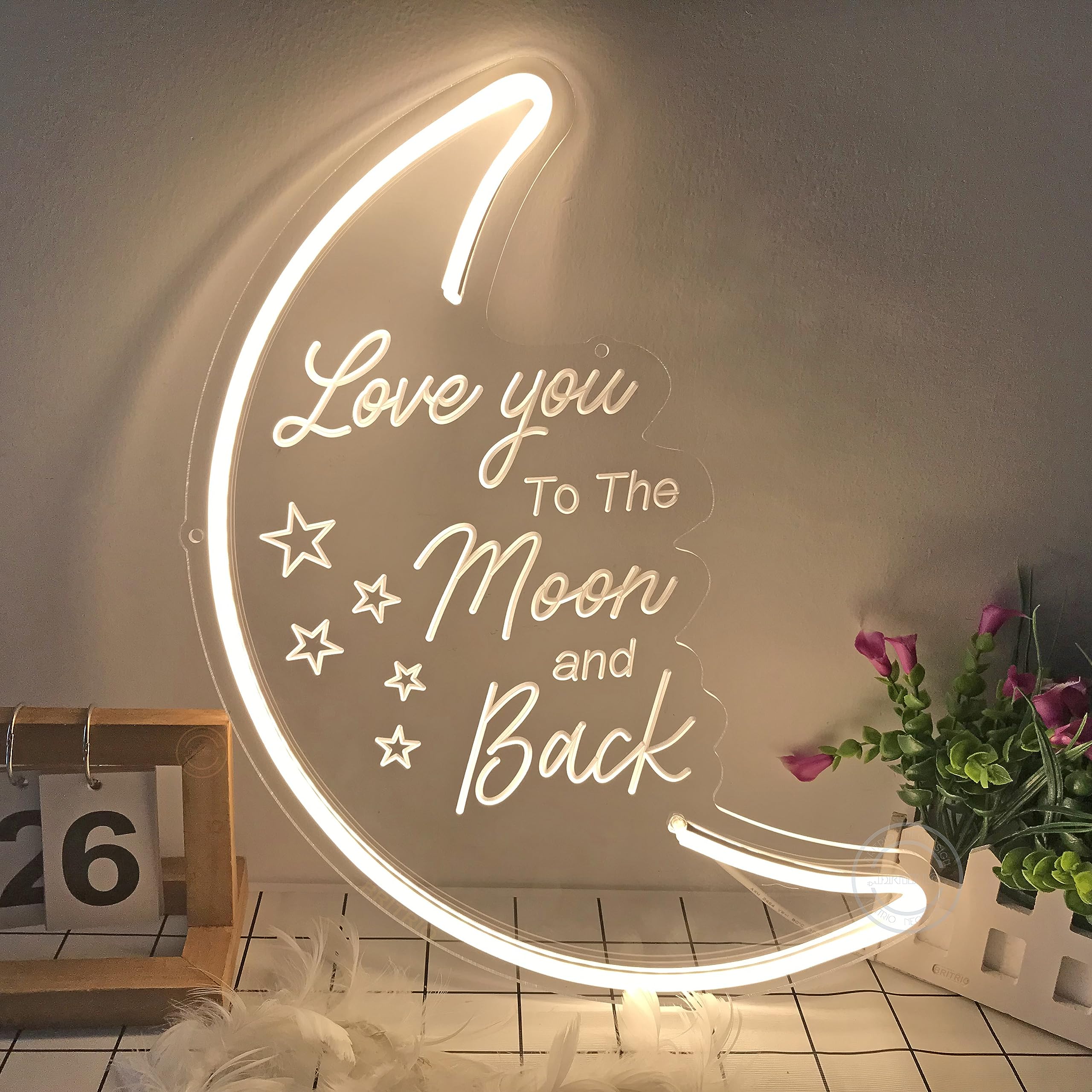 Britrio LED Moon Neon Light Sign, 15.75”x10.24”, Warm White, Acrylic, Model MOON&BACK15WW, Home Decor Night Light