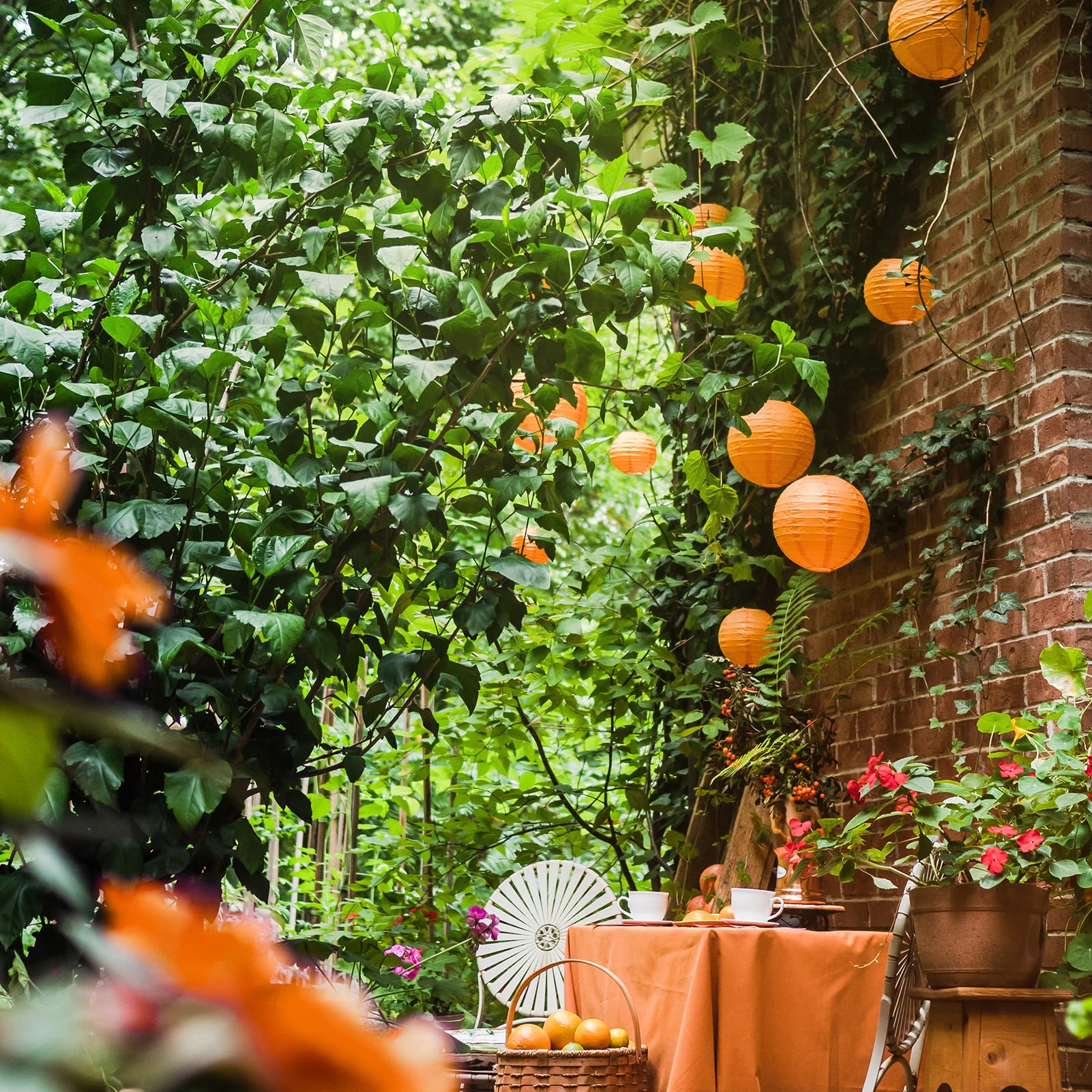 Orange Paper Lanterns - 25 Piece Set - Party Decorations For Birthdays, Weddings And Special Occasions By Avoseta