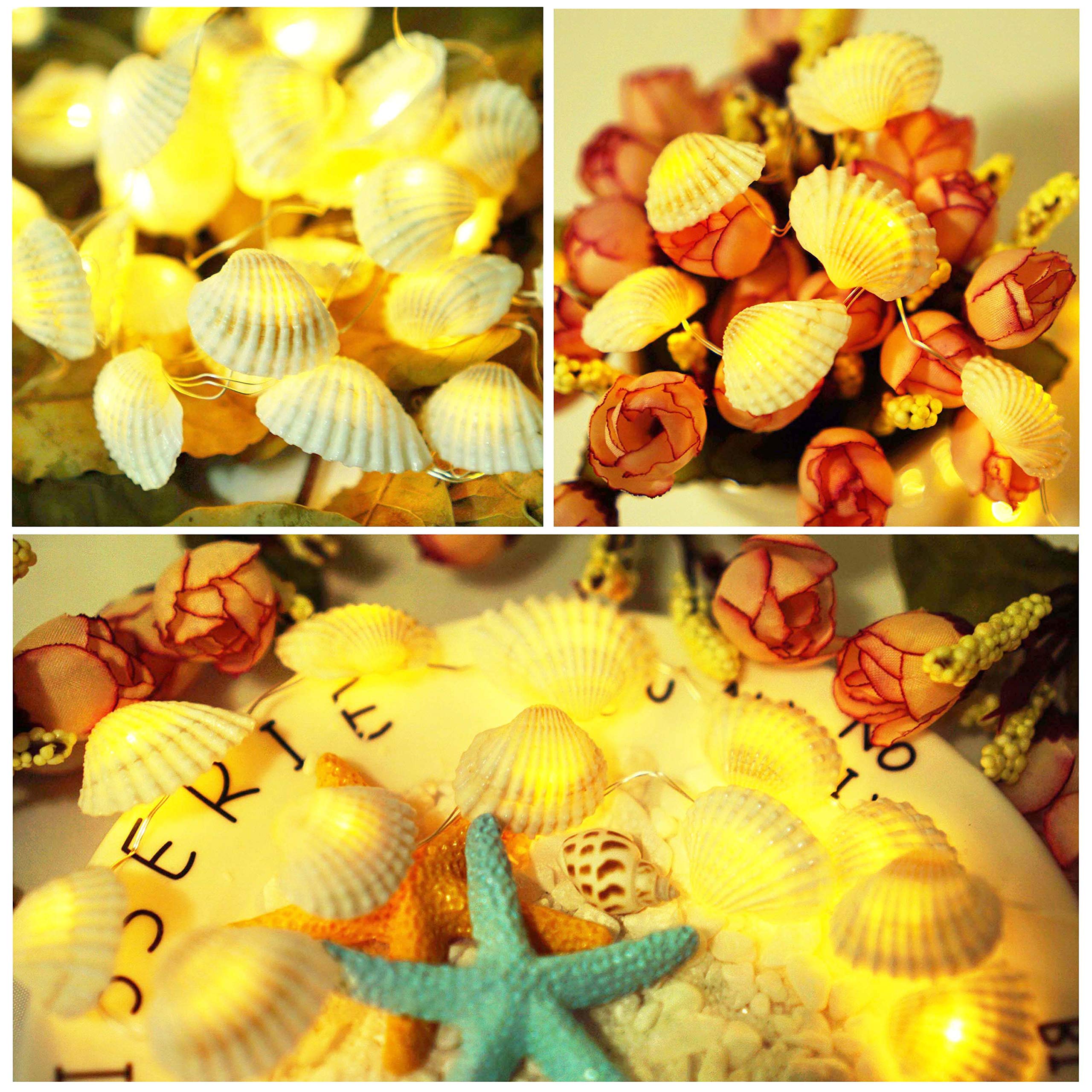 Cynzia 40LED Natural Seashells String Lights, 13.85ft Waterproof Fairy Lights with Remote Control, White, Model C-66