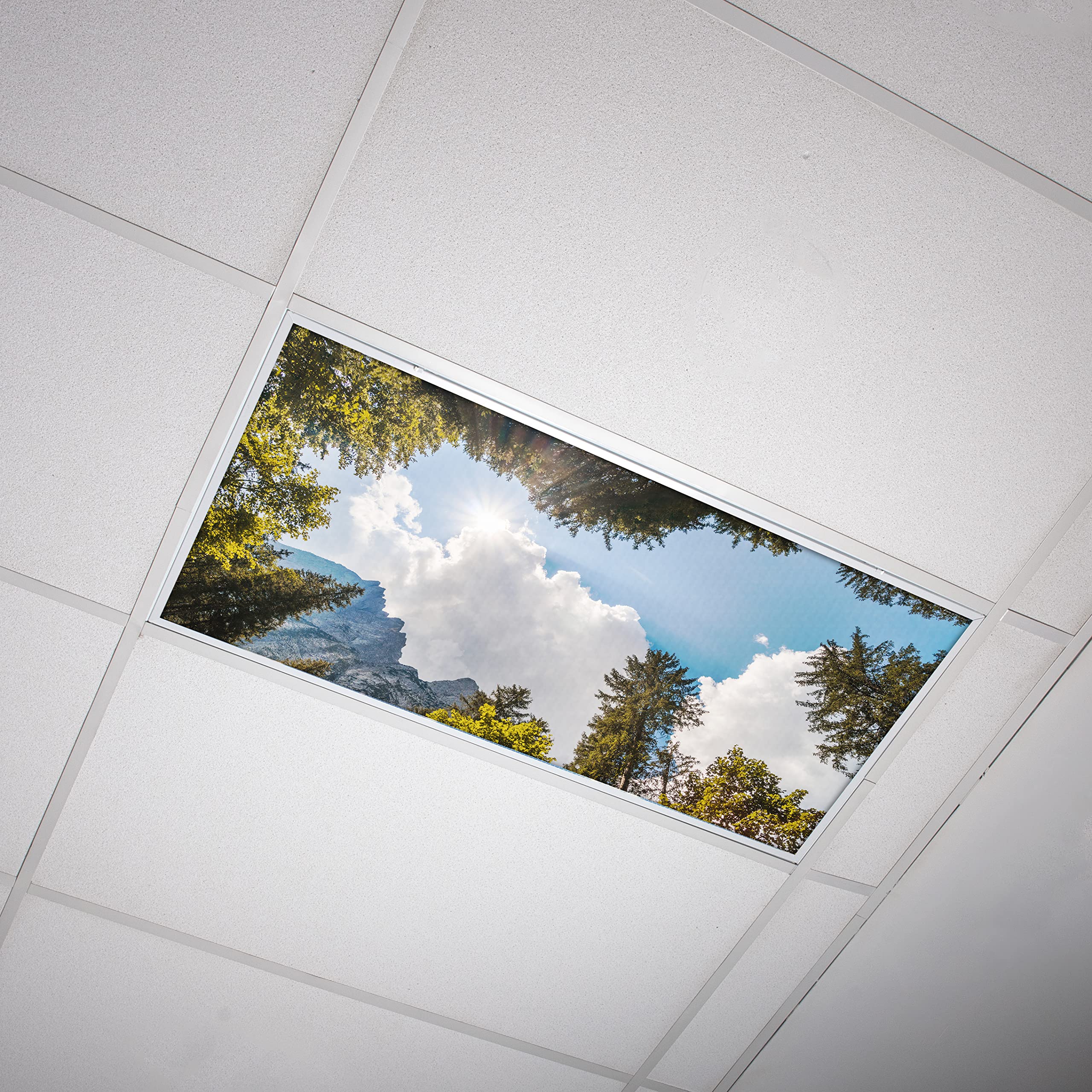 OCTO LIGHTS Fluorescent Light Covers - 2x4 Backlit Film - Tree Mountain Sky - Model TRE-009-2x4
