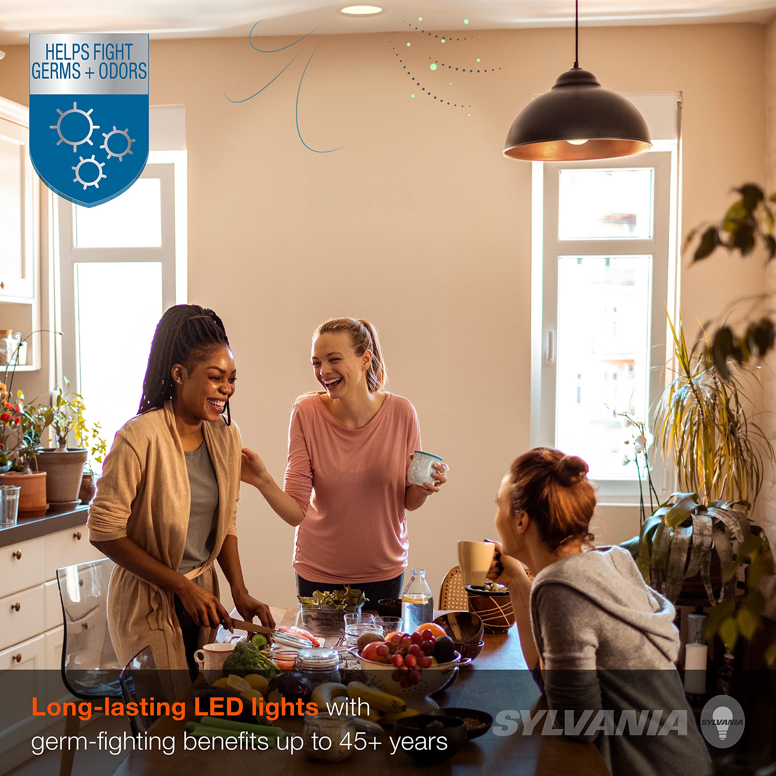 Sylvania Lightshield Br30 Germicidal Led Light Bulb, 7.5W=65W, Cec Compliant, Dimmable, 650 Lm, 2700K, Soft White - 2 Pack (4124