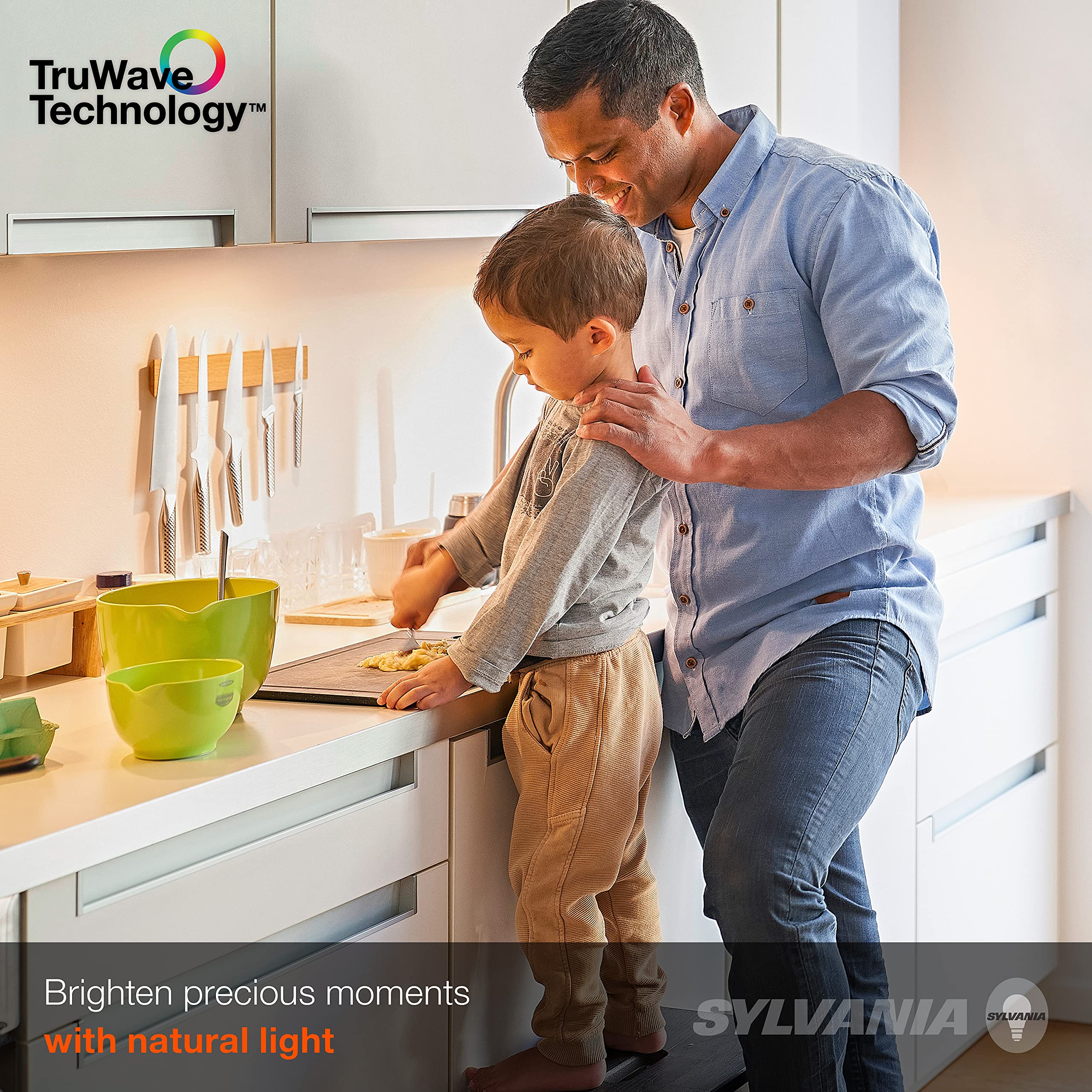 SYLVANIA TruWave Natural Series 24W Plug-In Adapter for Under Cabinet Light System - 1 Pack