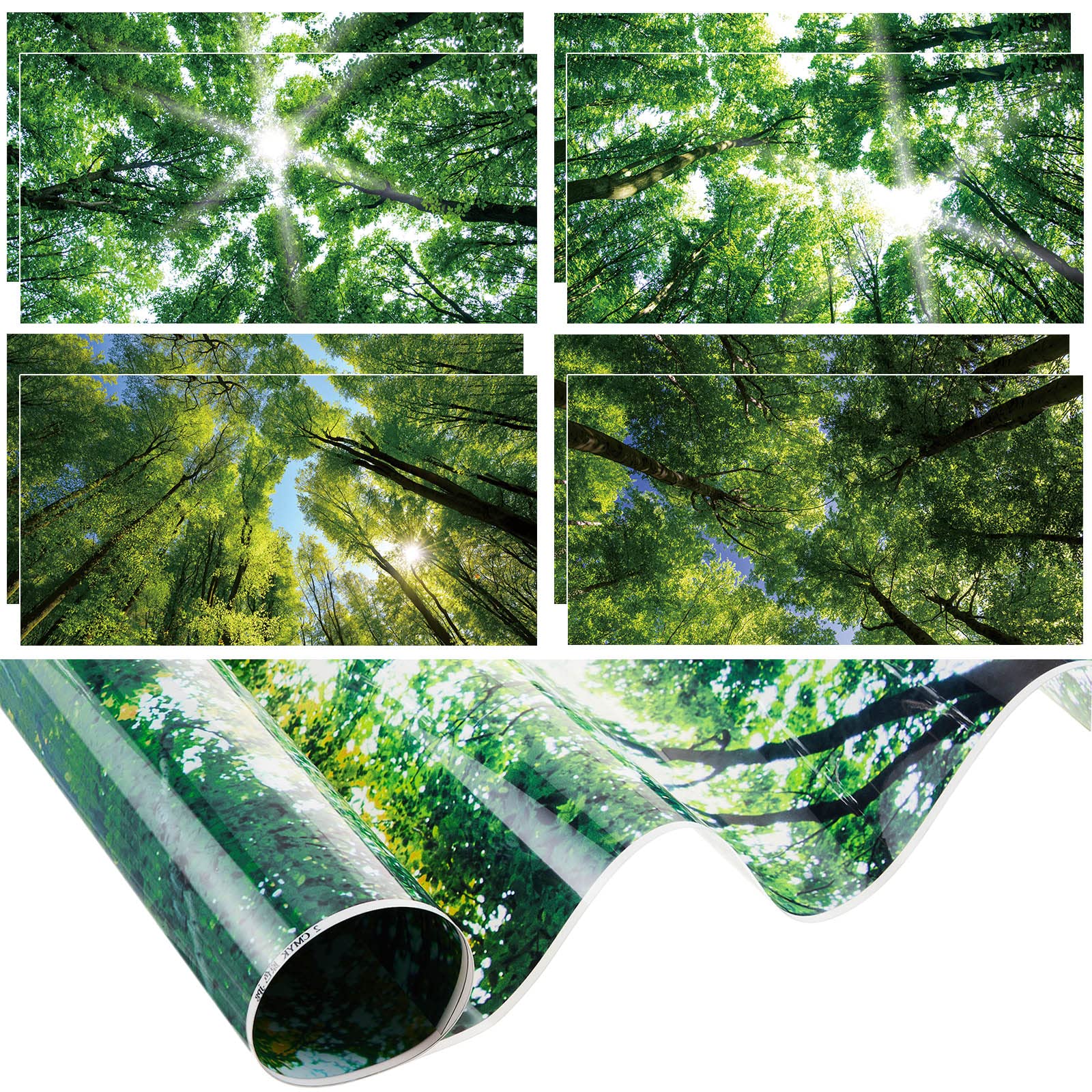 Amylove 8 Pcs 4 x 2 Feet Backlit Film Material Fluorescent Light Covers Classroom Filters Ceiling Light Covers Panels Florescent