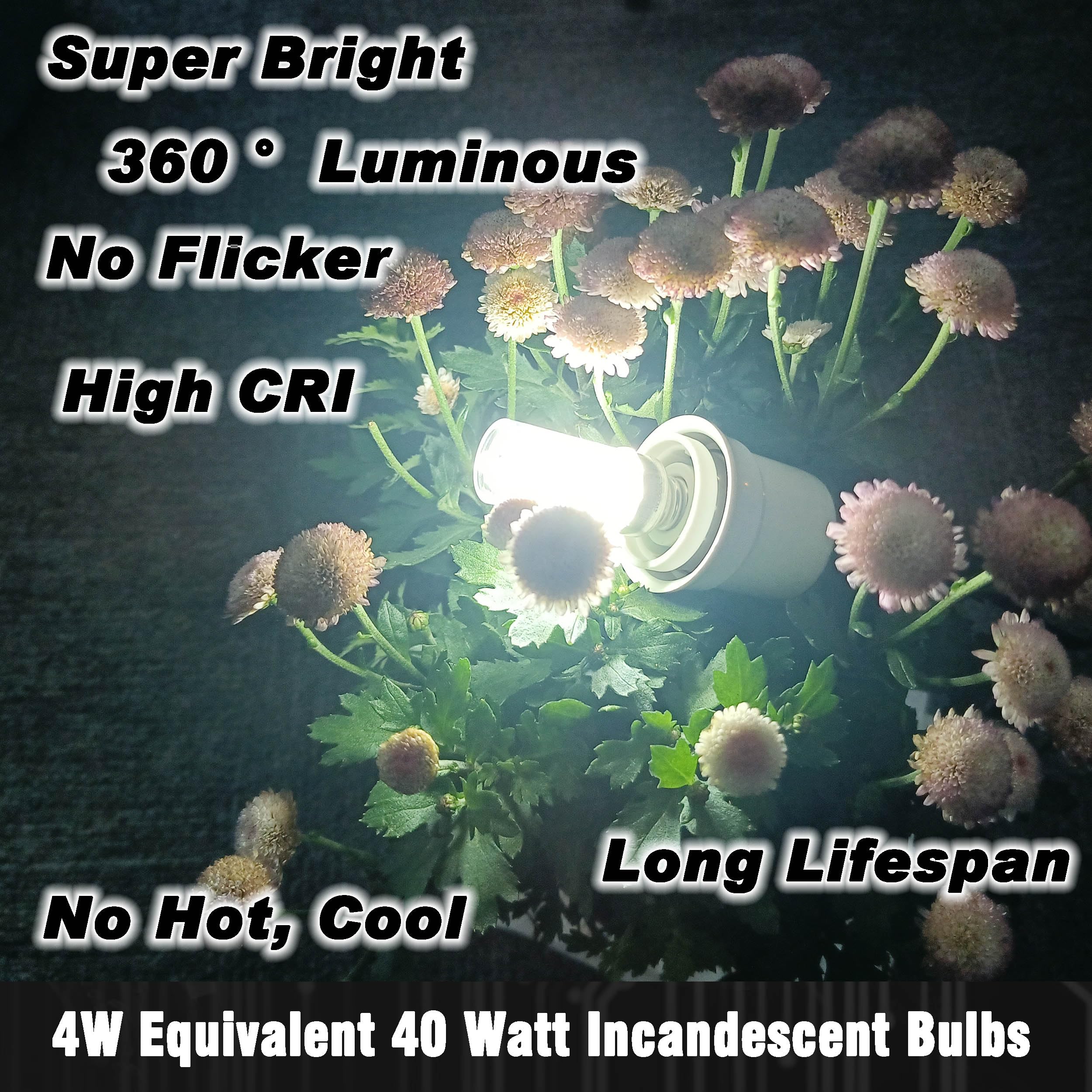 Hylroe 12V 40W E12 Led Candelabra Light Bulbs 4W Daylight White 6000K 450Lm Low Voltage Ac12-24V/Dc10-30V For Rv Camper Marine B