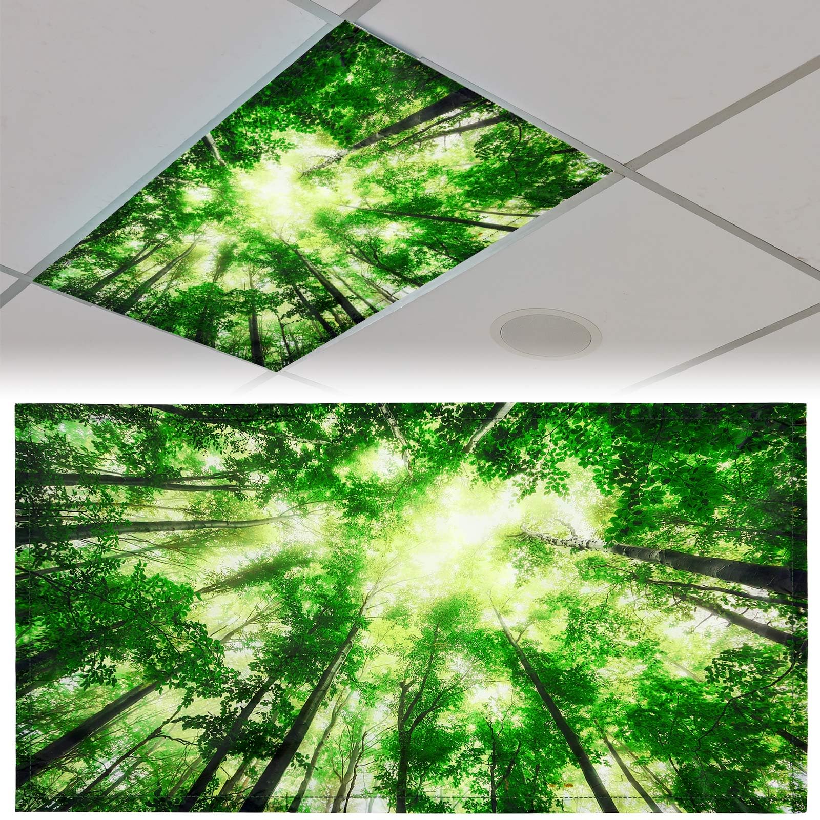 Patelai Fluorescent Light Cover Shade with 10 Magnets, 4 x 2 Feet, Green, Model PT-Patelai-133563 for Classroom and Office Decor