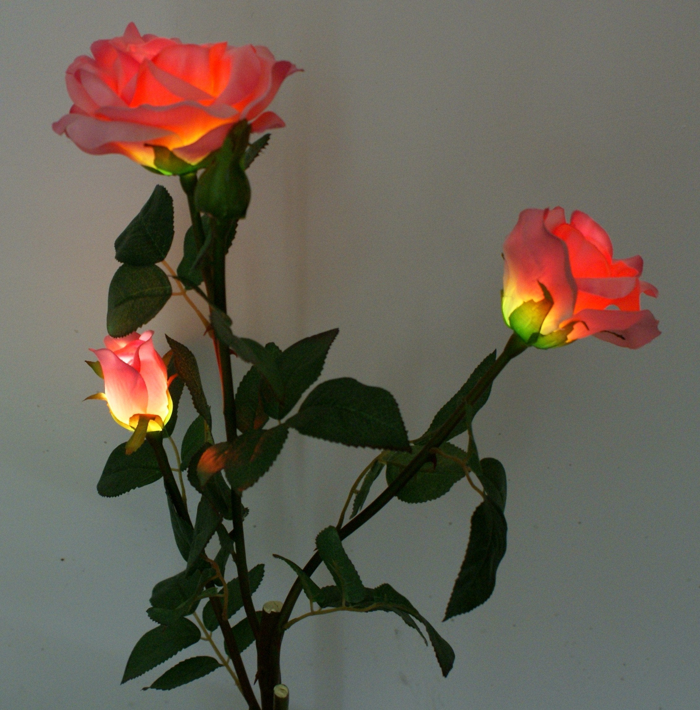 Solaration Solar Pink Rose Flower Lights Outdoor Decorative Lights Year-Round, Great Gift!