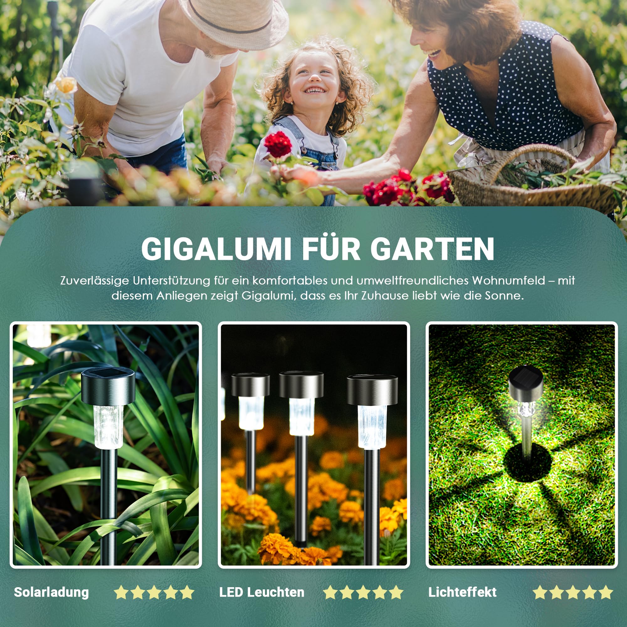 Gigalumi Solar Lights Outdoor Waterproof, 12 Pack, Stainless Steel Led Solar Garden Lights For Patio, Lawn, Yard And Landscape,