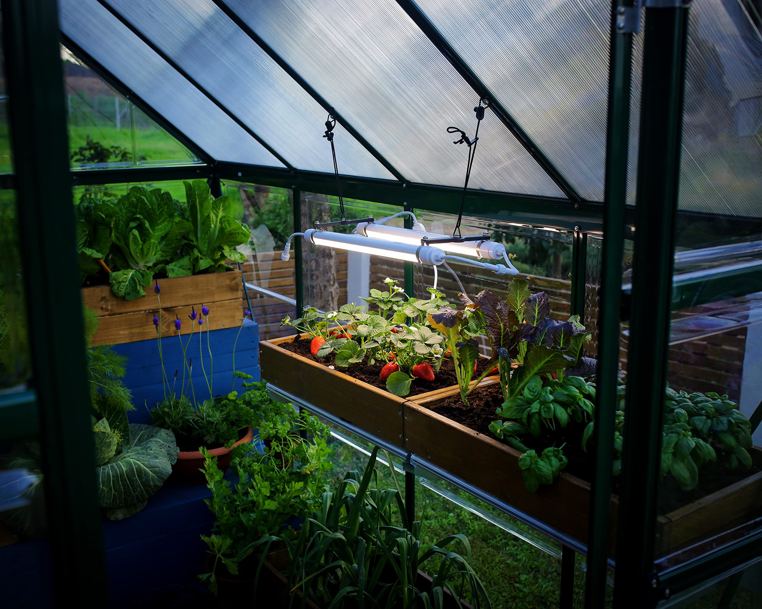 Palram - Canopia Greenhouses Led Grow Light For Plants, Vegetables, Fruits, Flowers, Growth Plant Light