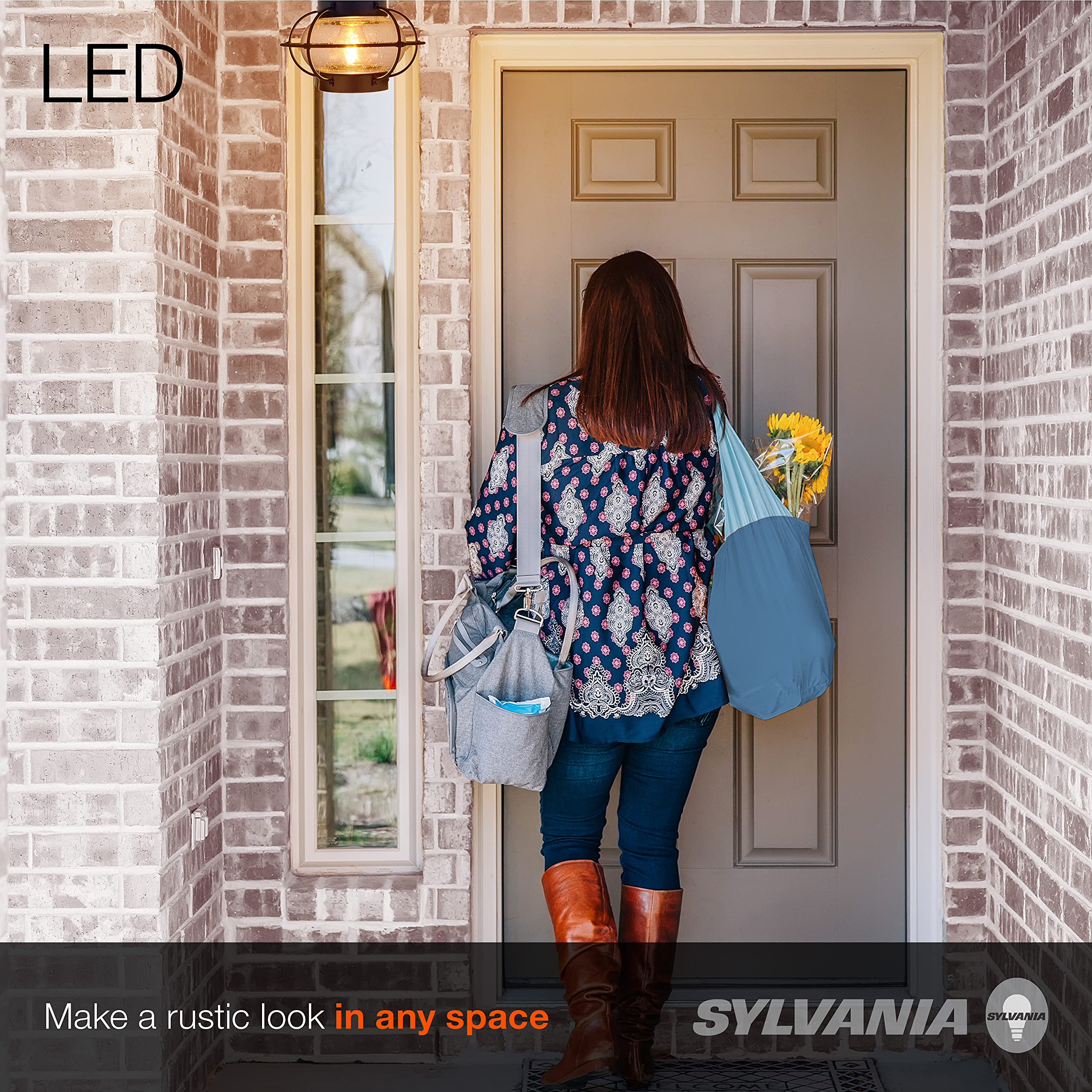 Sylvania Vintage Essex Cage Light Fixture, Semi-Flush Mount, Matte Black Finish, 1 60W Led Dimmable A19 Bulb Included (60115)