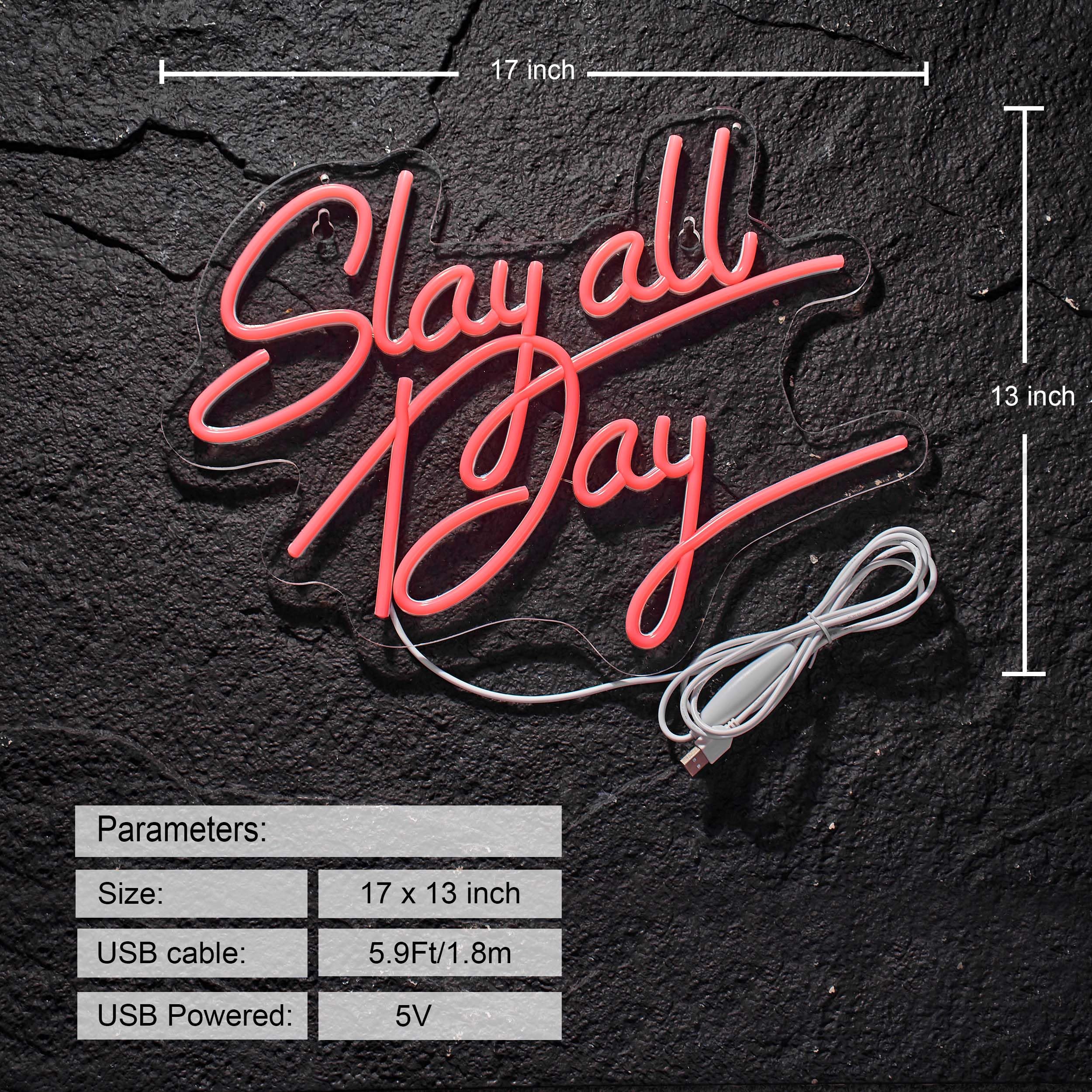 Neonhonba Slay All Day Neon Sign LED Wall Décor USB Powered 17x13 inches Pink Acrylic