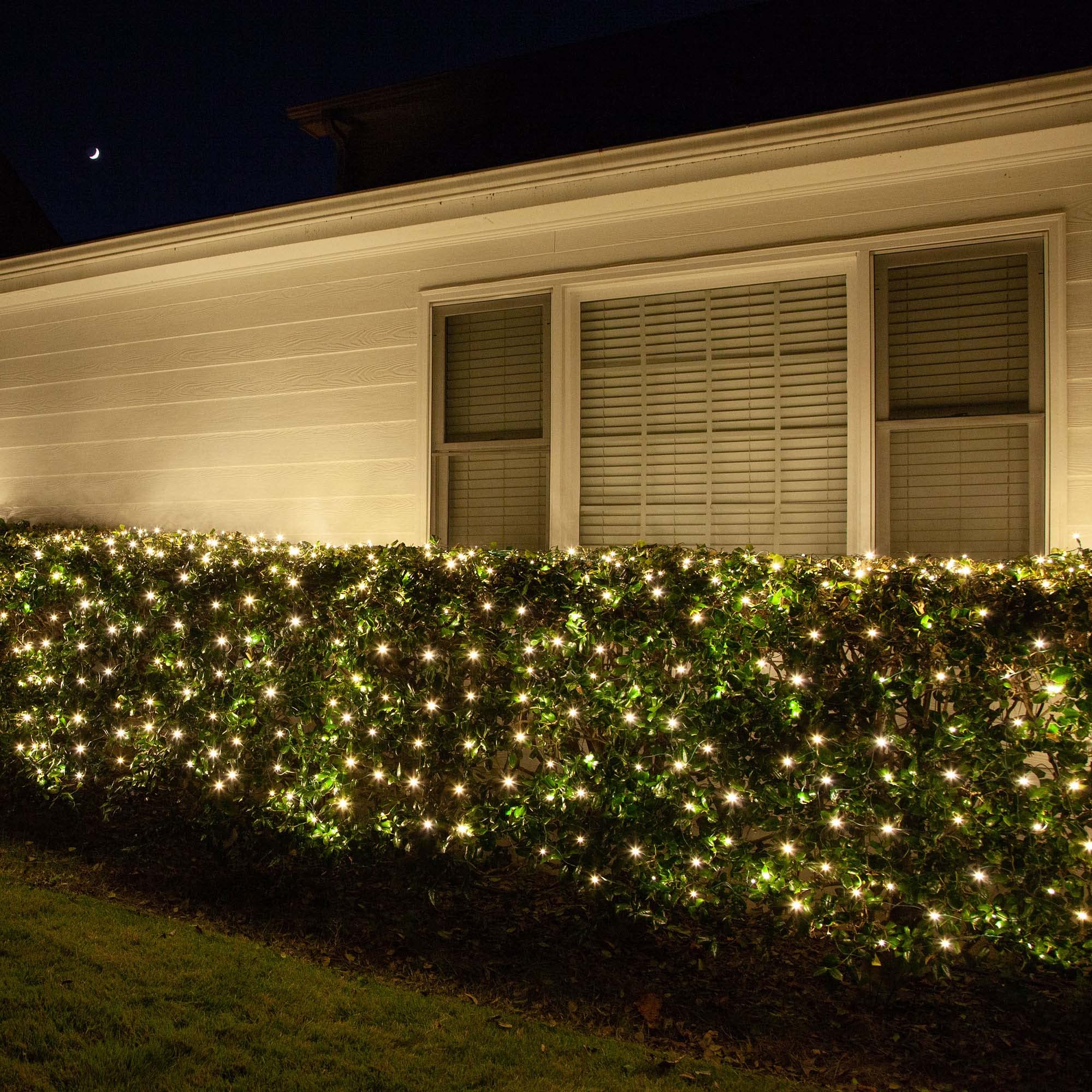 Wintergreen Lighting LED Net Lights Set of 100, Warm White, 4 x 6 ft, 5mm, Green Wire, Model IOS-3-20-5