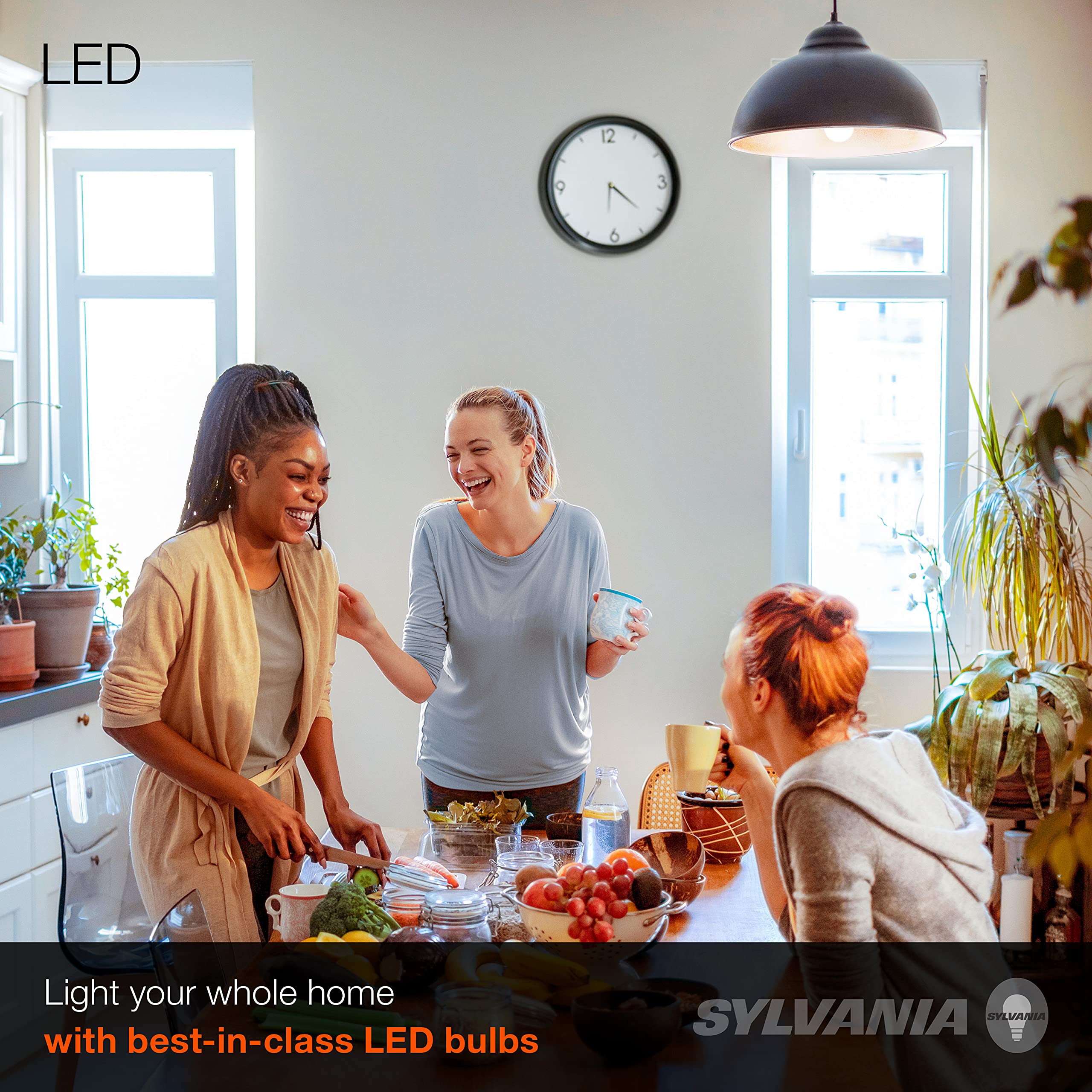 LEDVANCE LED Light Bulb A19, 40W Equivalent, 6W, Soft White, Frosted, 450 Lumens, 2 Pack, Model 74077