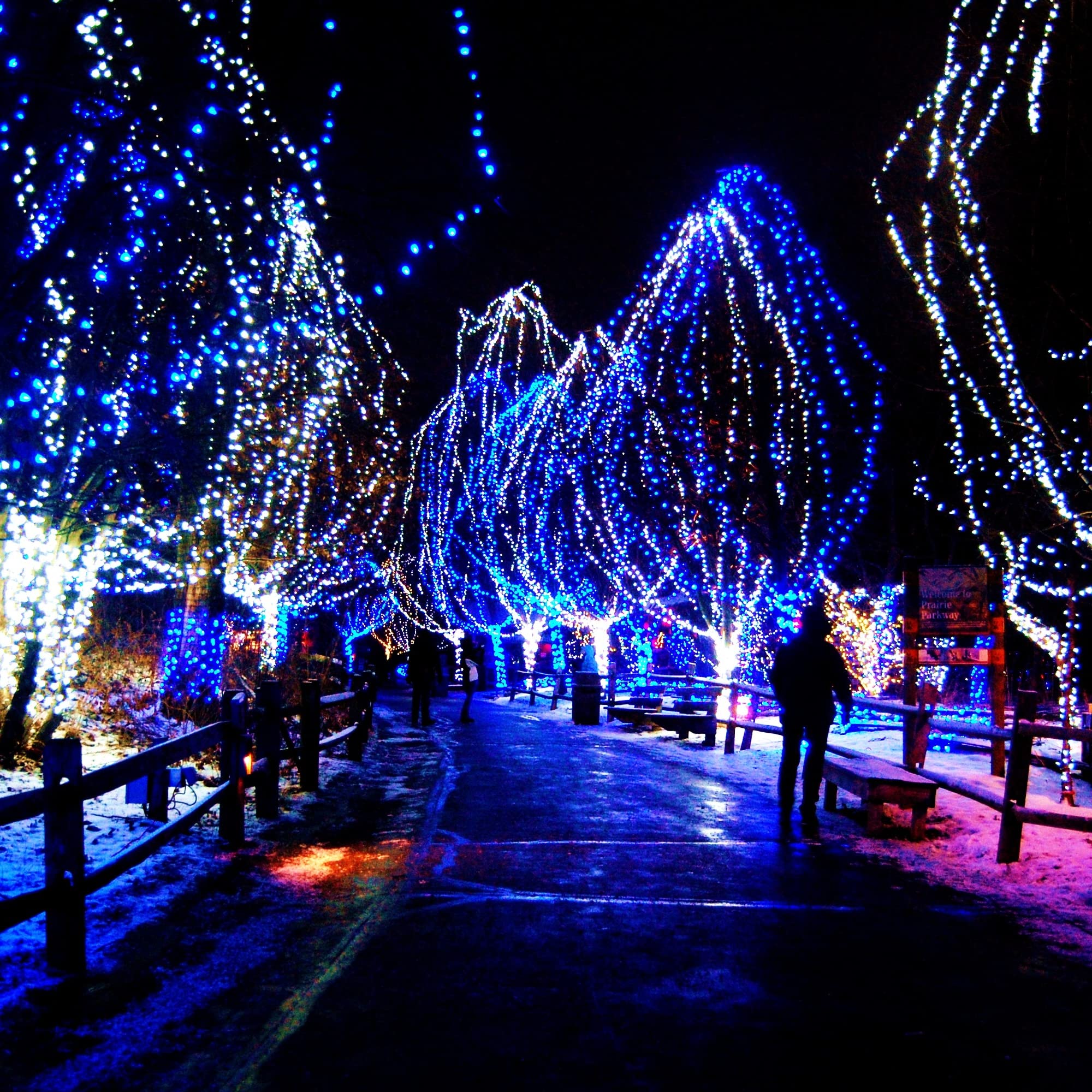 Funpeny 164Ft 500 Led Christmas Indoor Outdoor Decorative String Lights, 8 Modes Waterproof Plug In Green Wire Led Fairy Light F