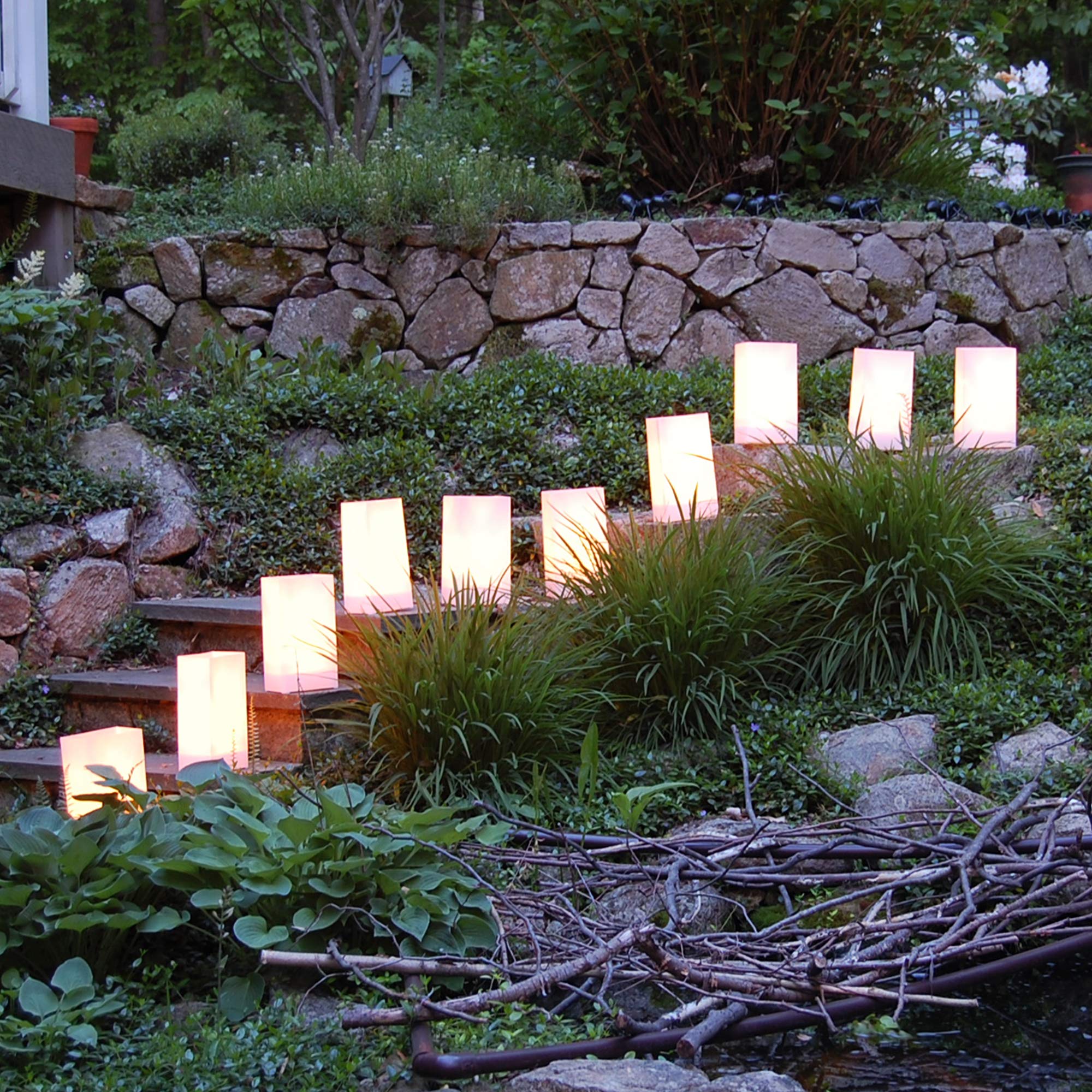 Lumabase Luminaria Lanterns, Plastic, Pack of 100, White, Model 318100